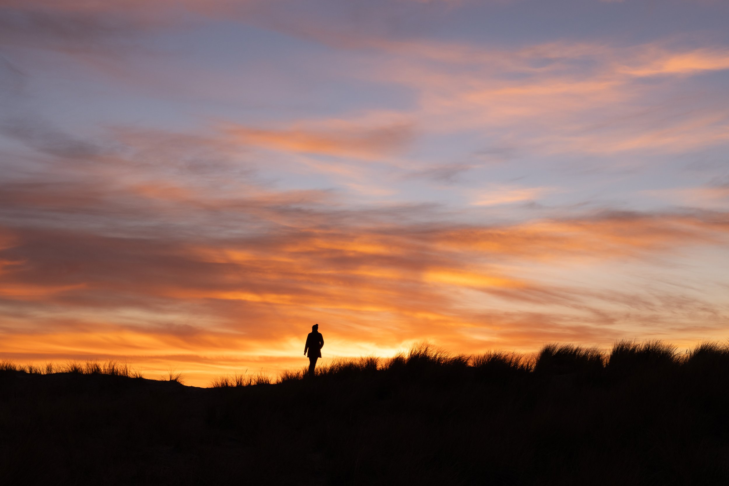 20250122-_I8A7604 - Copy.jpg