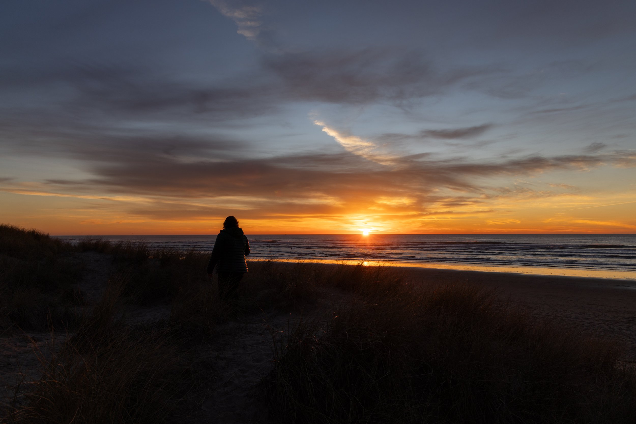 20250122-_I8A7525 - Copy.jpg