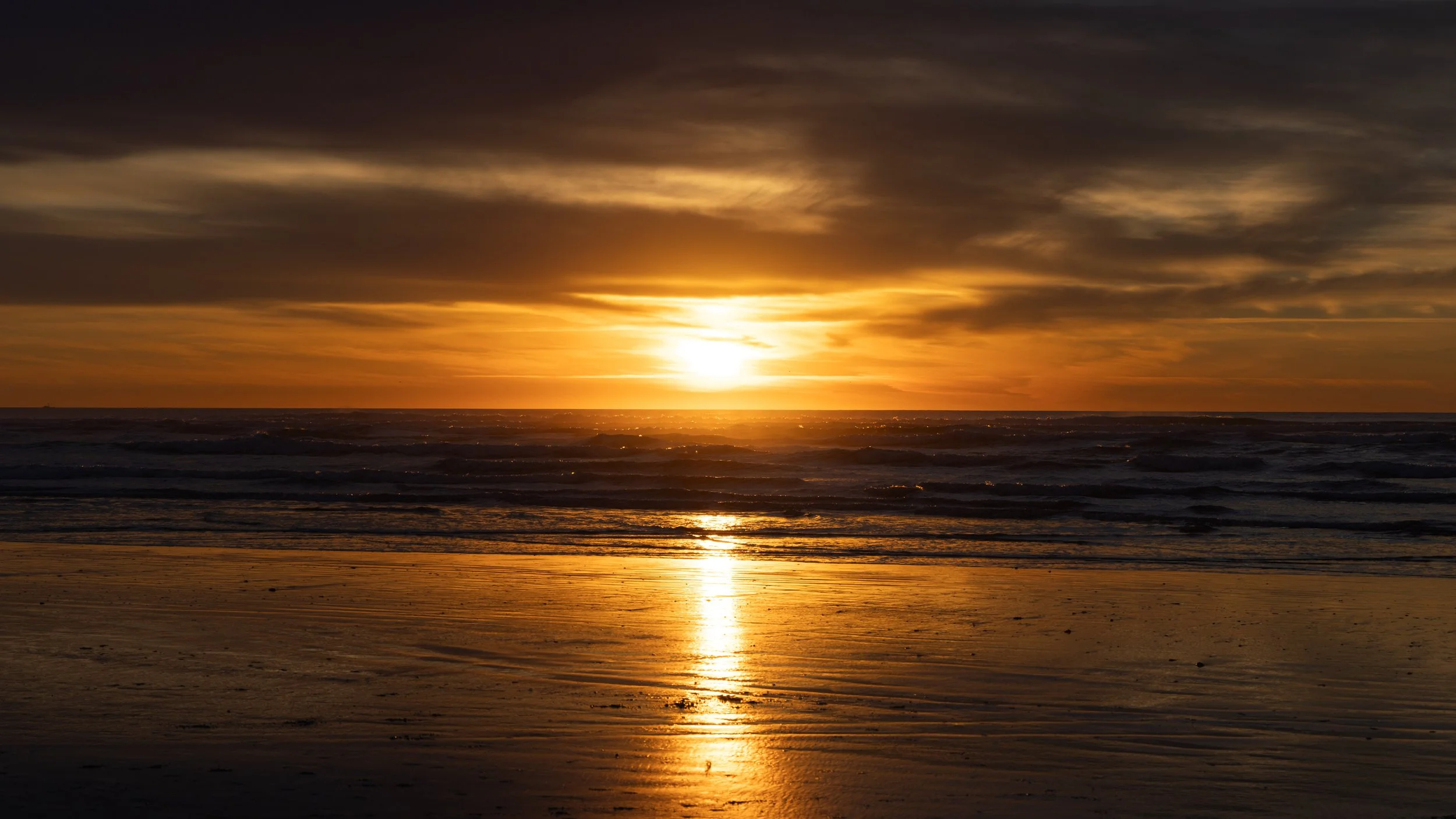 20250122-_I8A7479 - Copy.jpg