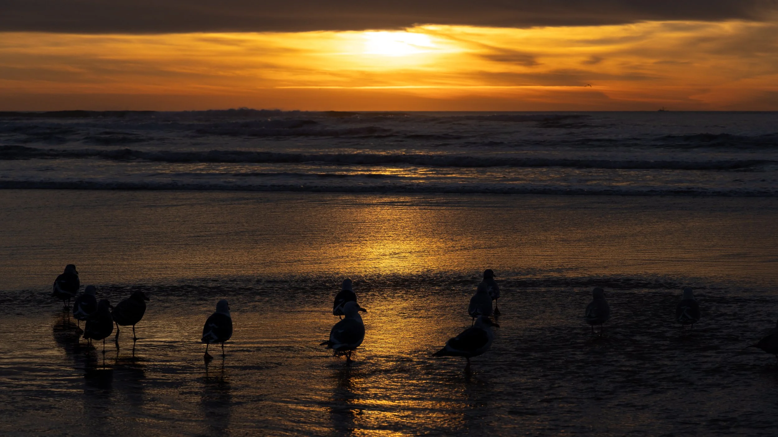 20250122-_I8A7240 - Copy.jpg