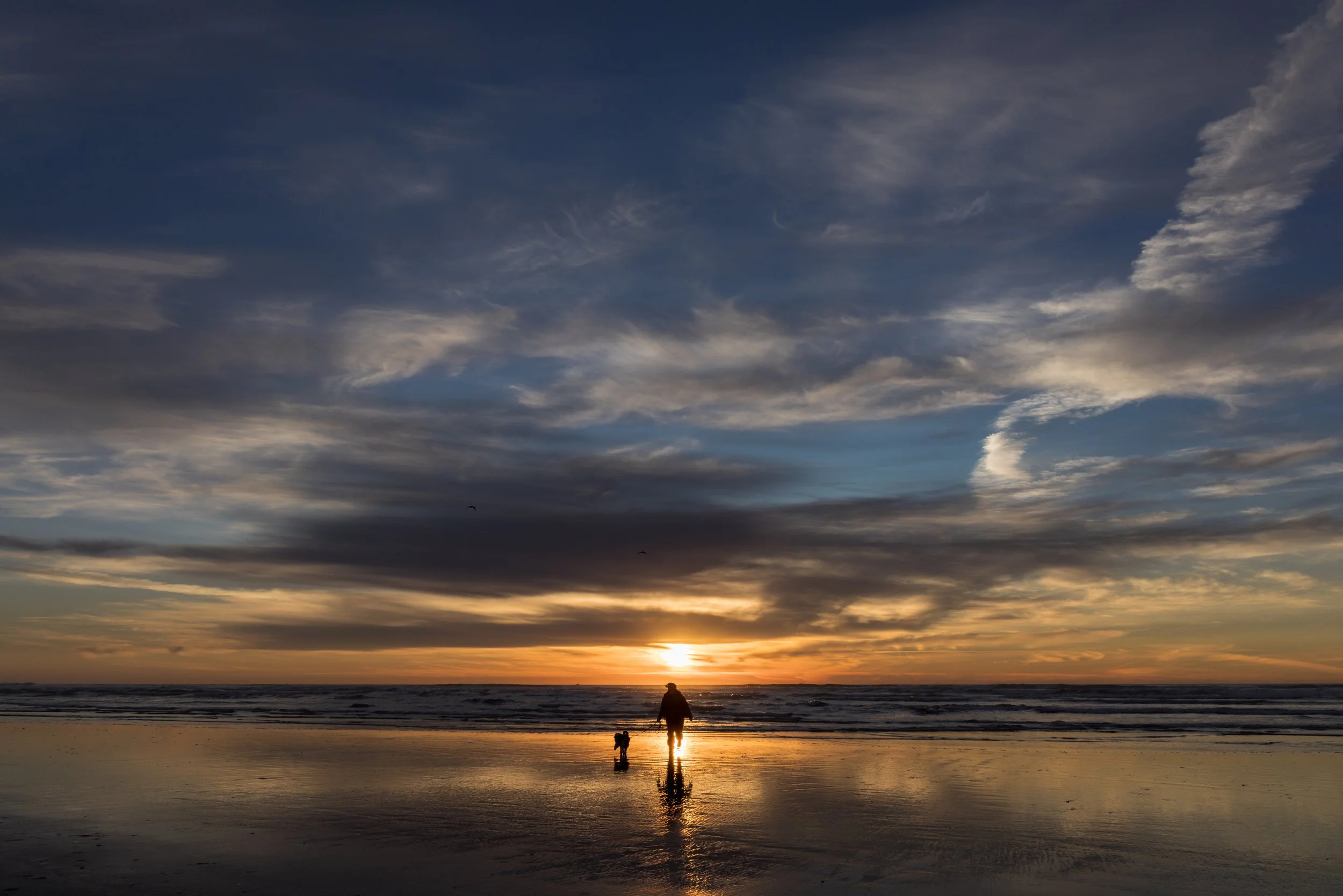 20250122-_I8A7407 - Copy.jpg