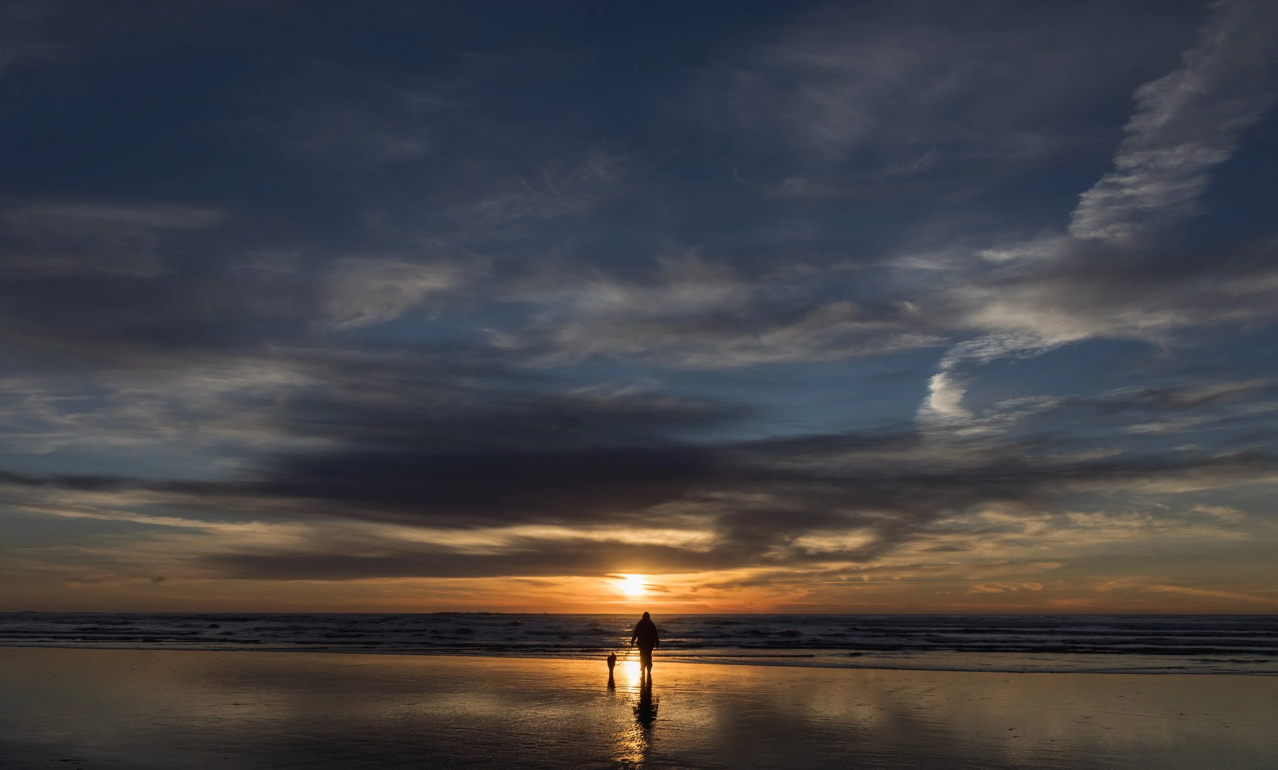 20250122-_I8A7384 - Copy.jpg