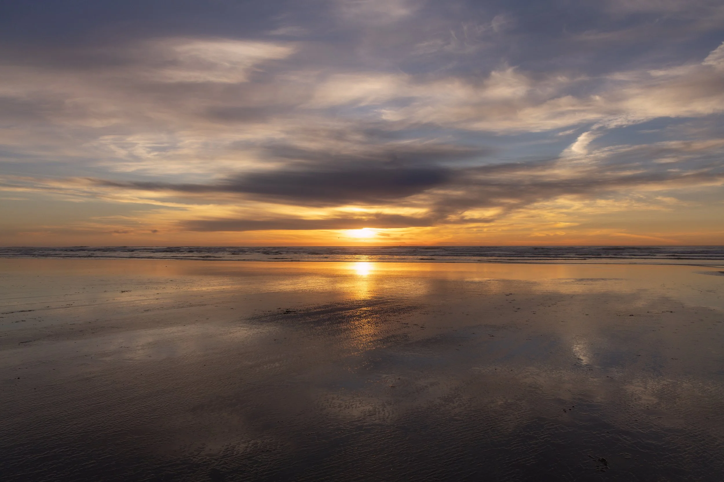 20250124-_I8A7274-Edit - Copy.jpg