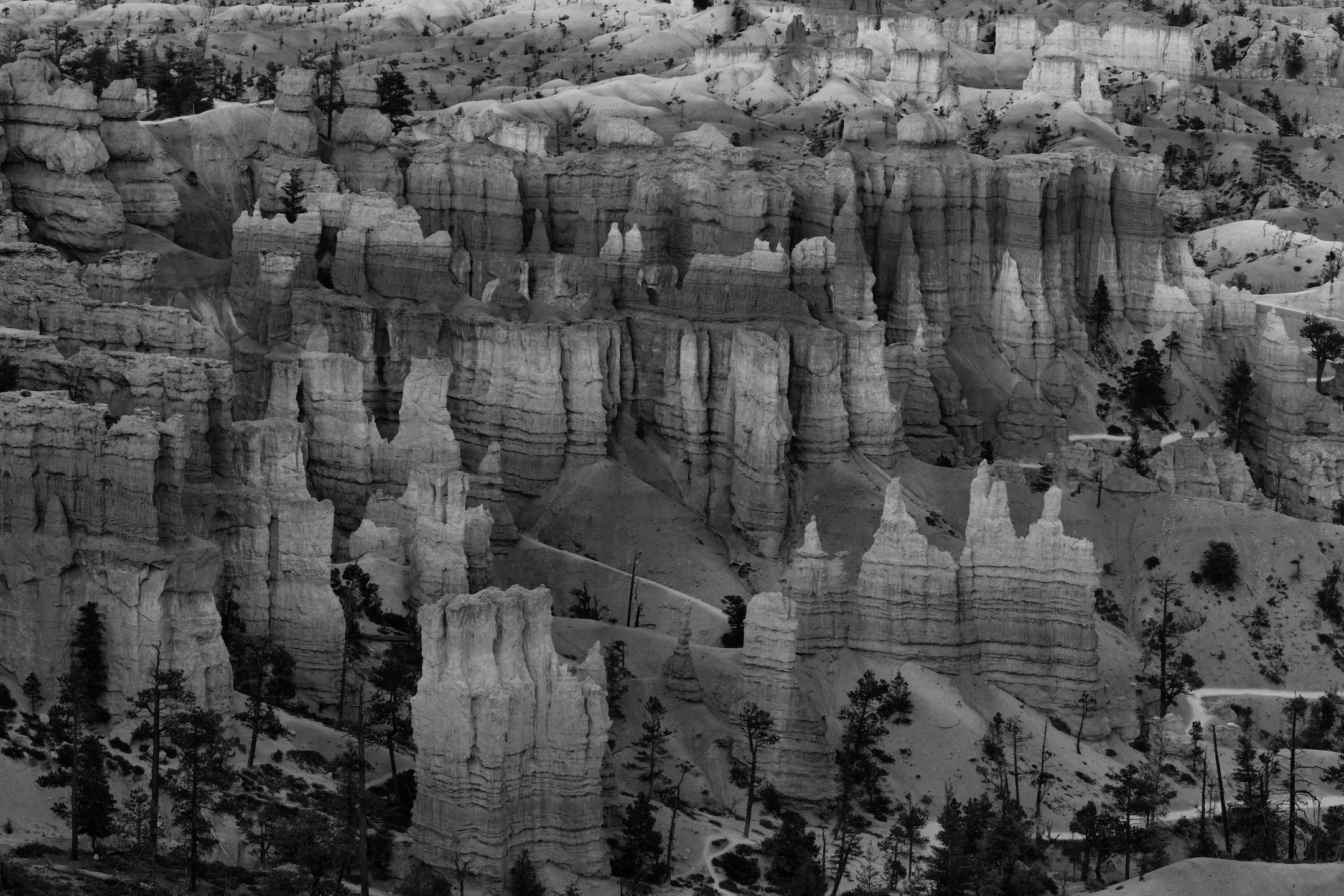 BryceCanyonNP-April2024-1.jpg