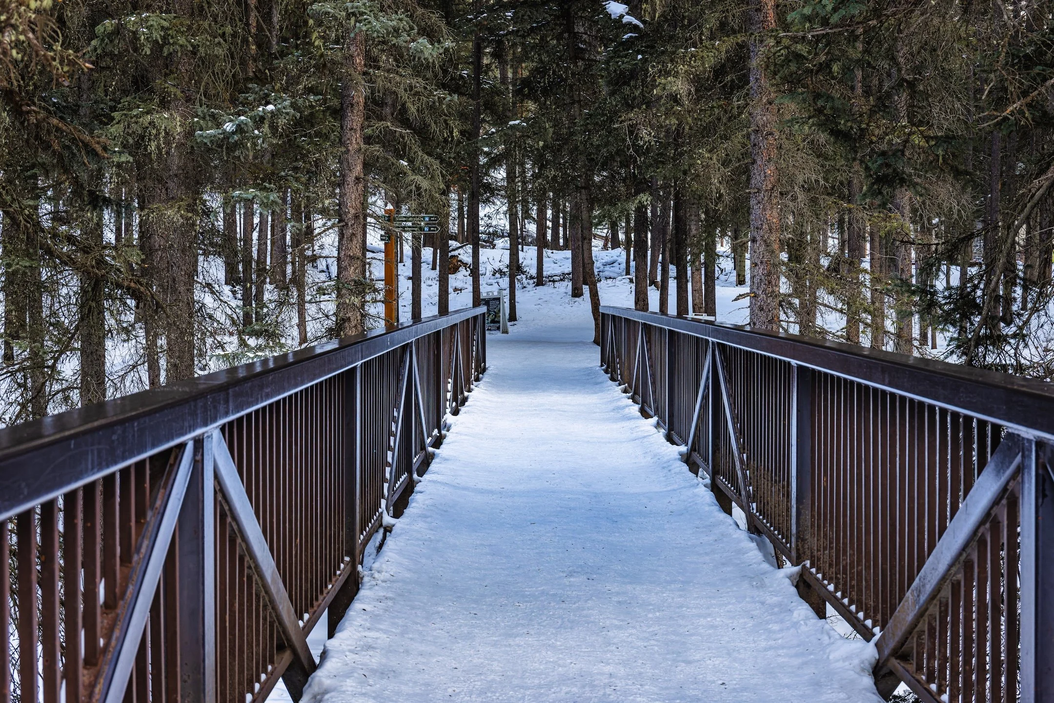 johnstoncanyon-3.jpg