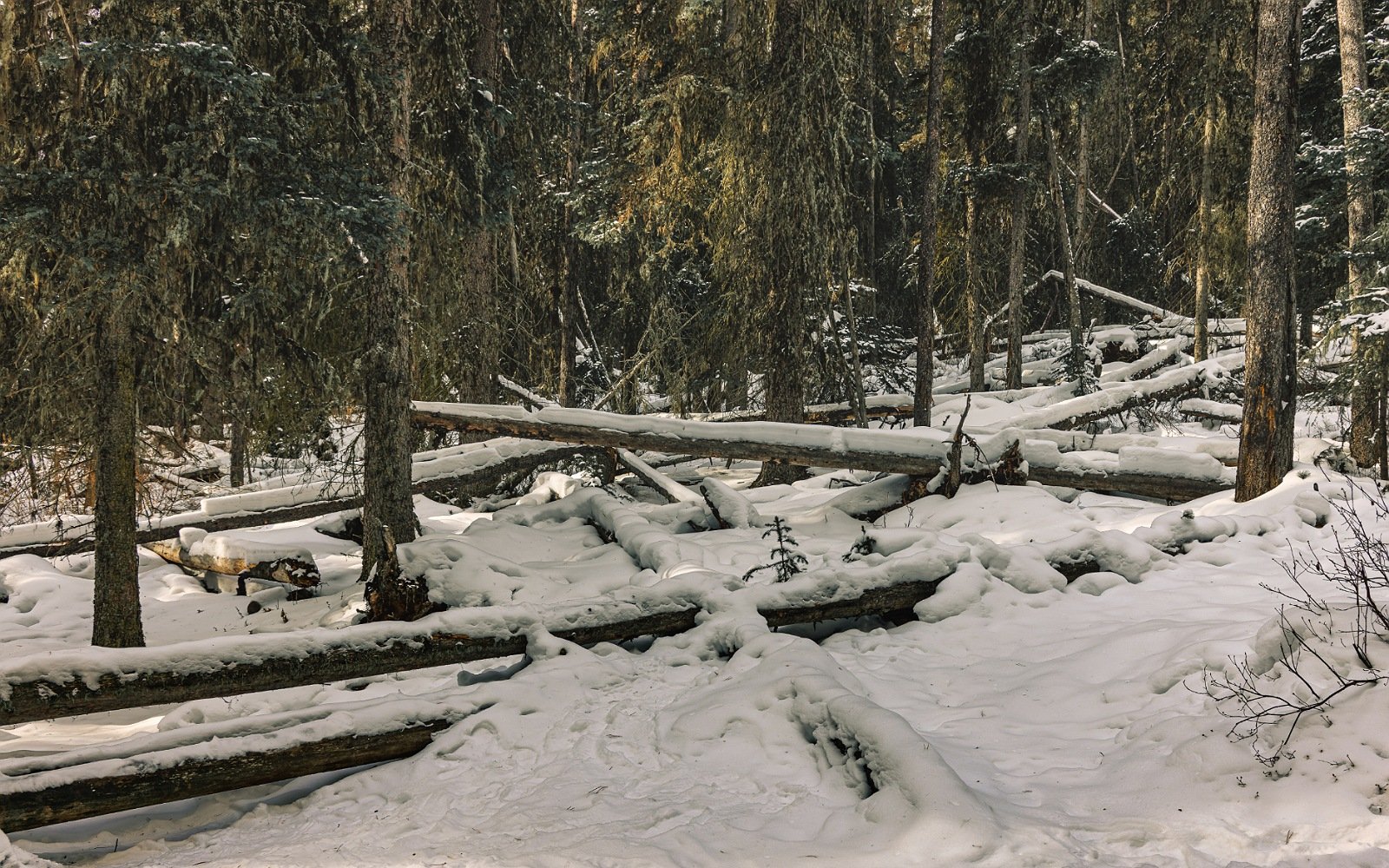 johnstoncanyon-16.jpg