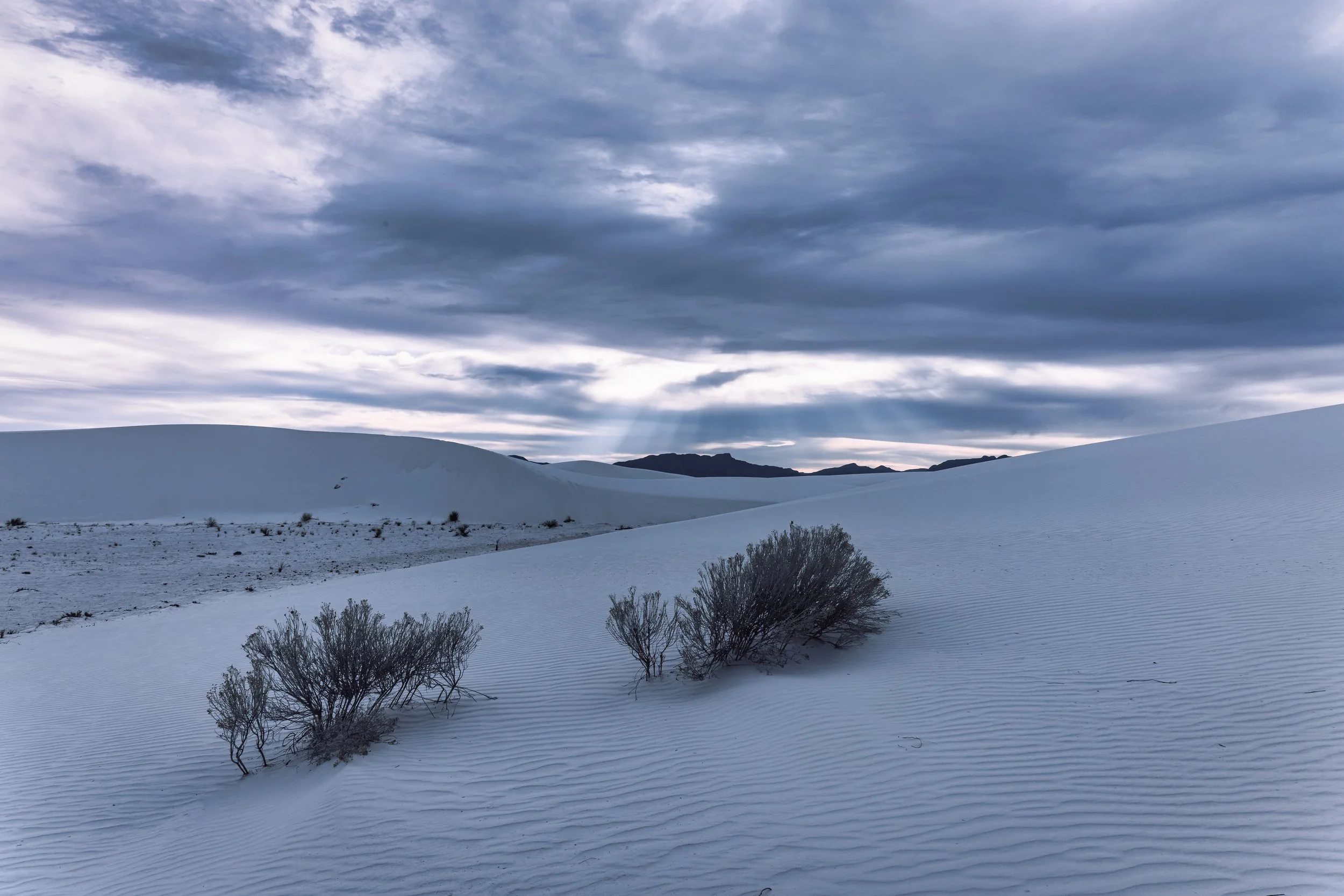 White Sands - April 2024-11.jpg