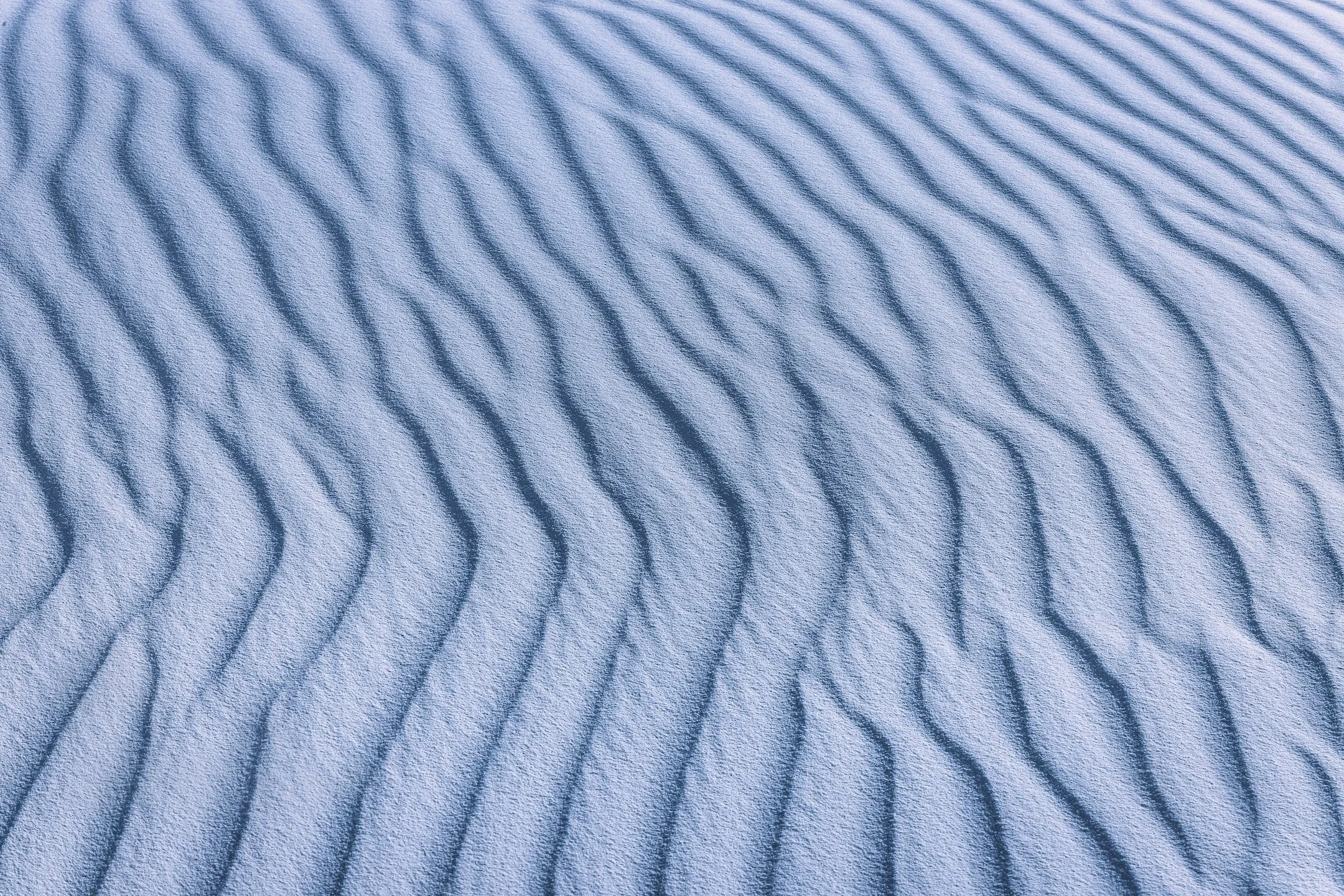 White Sands - April 2024-1.jpg