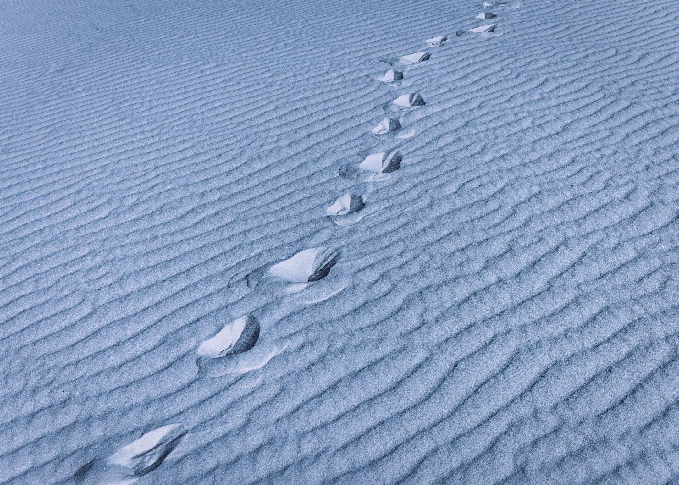 White Sands - April 2024-4.jpg