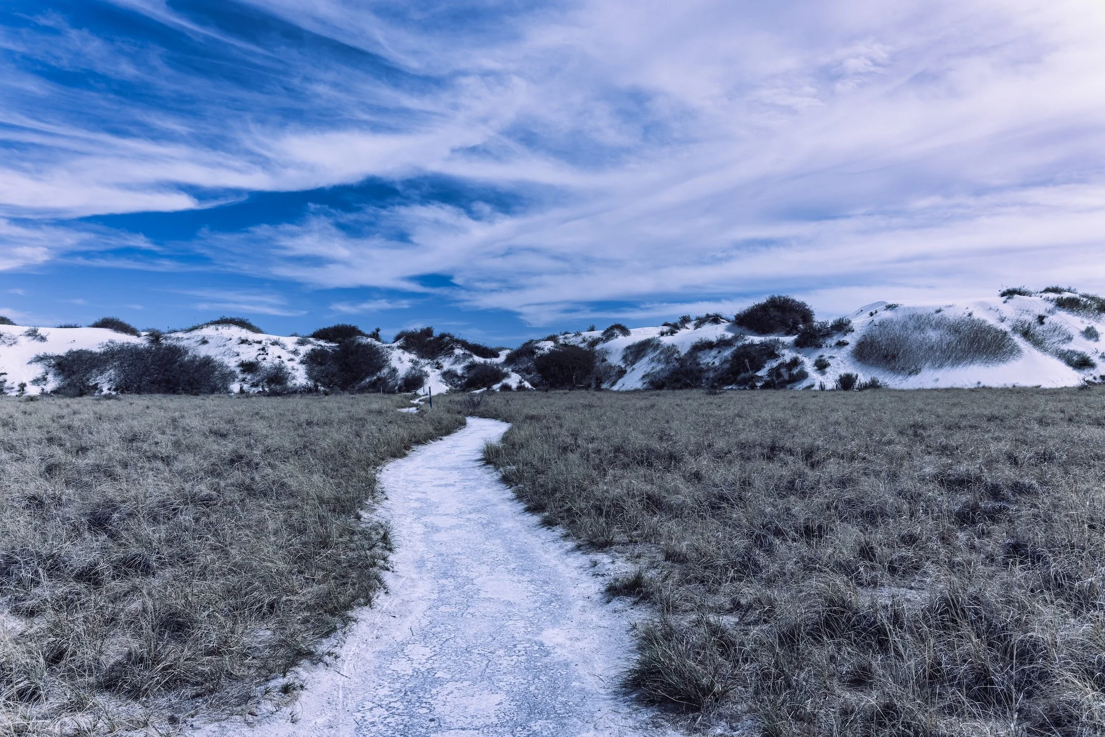 White Sands - April 2024-9.jpg