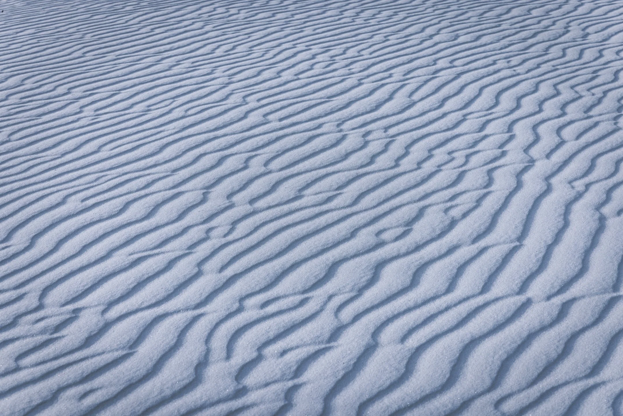 White Sands - April 2024-14.jpg