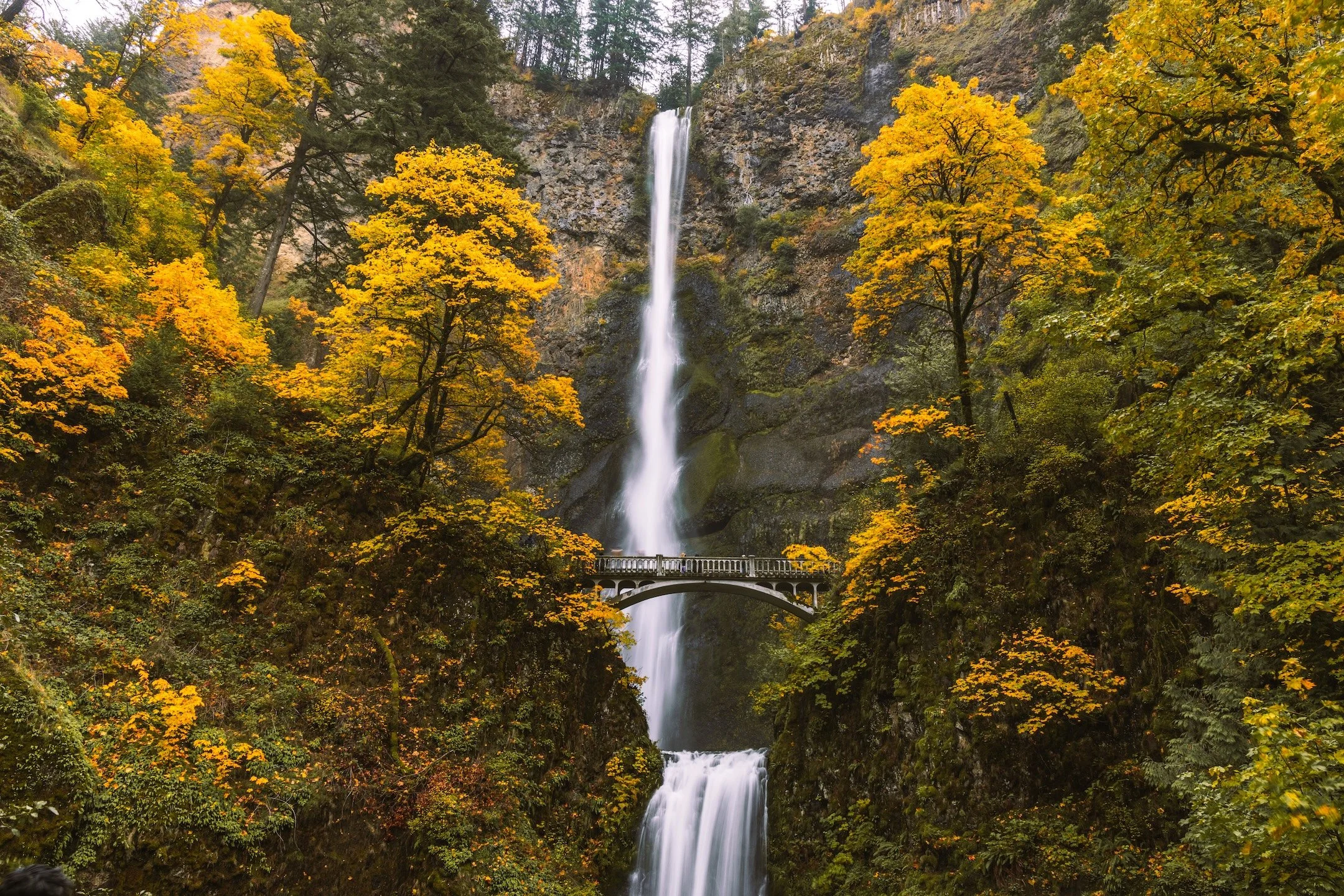 Multnomah Falls - Oct 2025-2.jpg