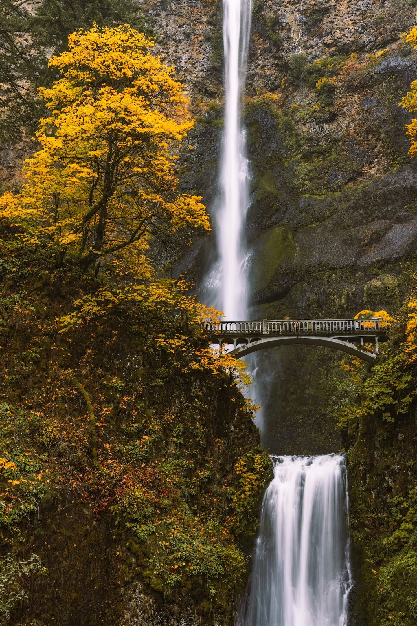 Multnomah Falls - Oct 2025-3.jpg