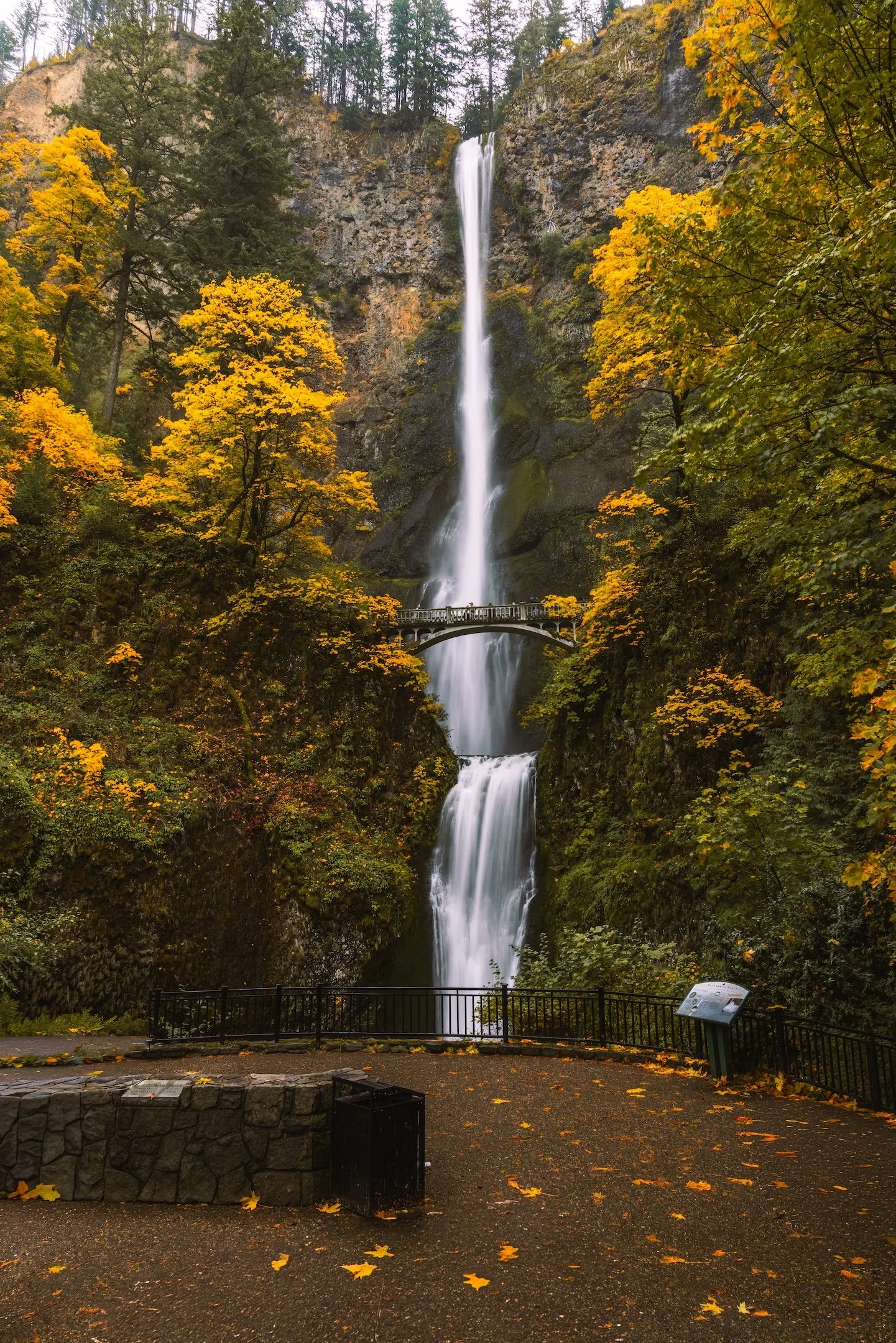 Multnomah Falls - Oct 2025-5.jpg