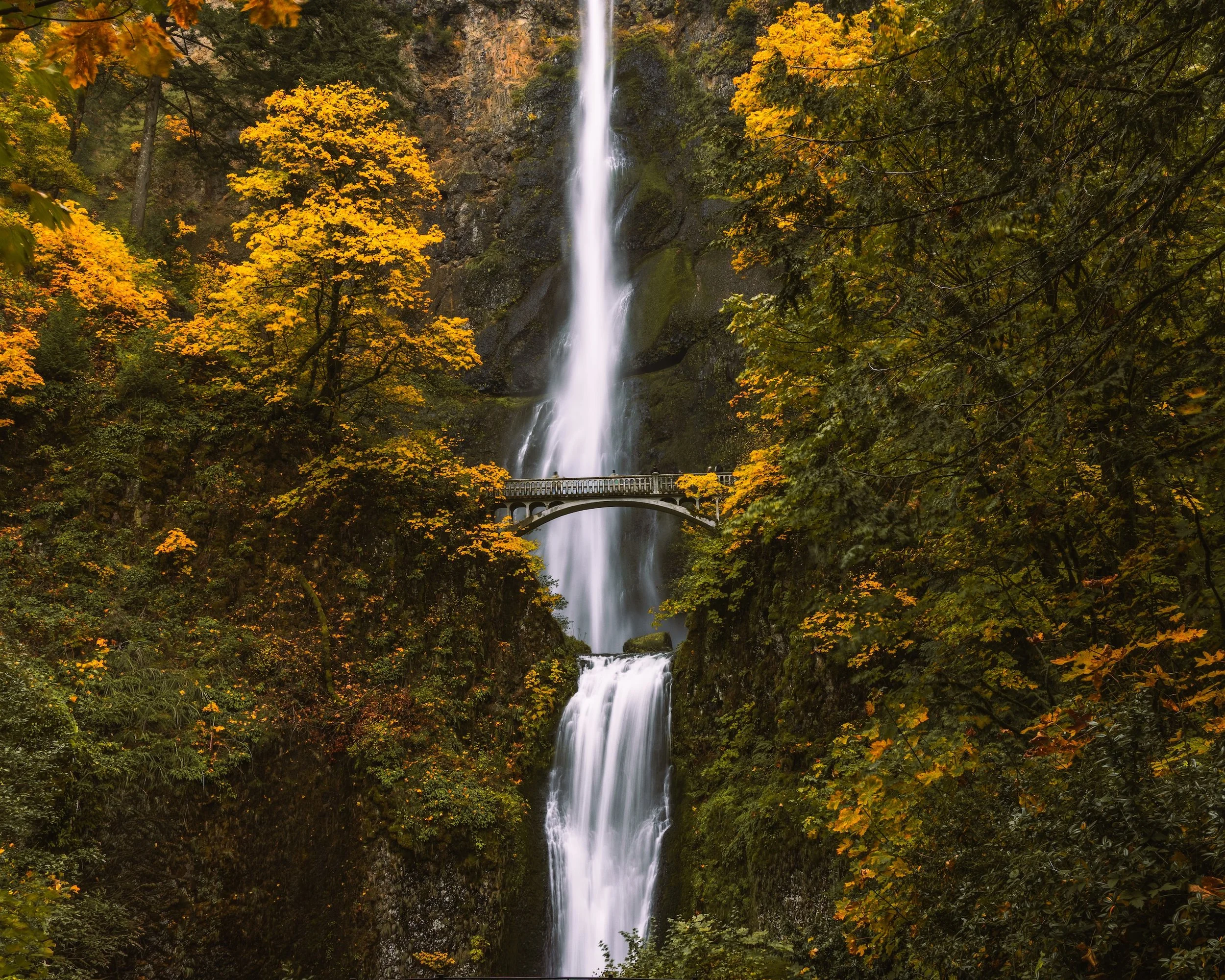 Multnomah Falls - Oct 2025-6.jpg