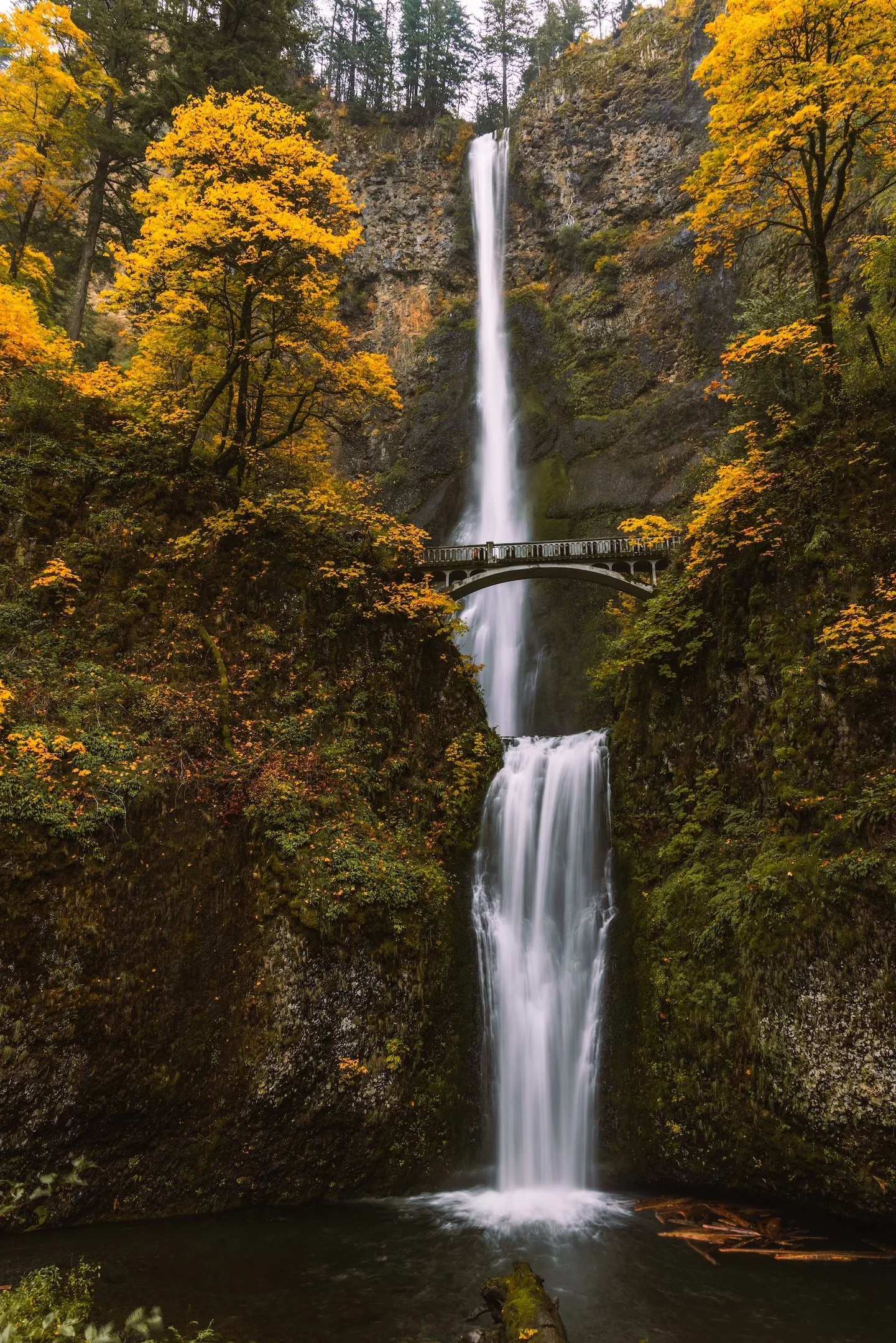 Multnomah Falls - Oct 2025-7.jpg