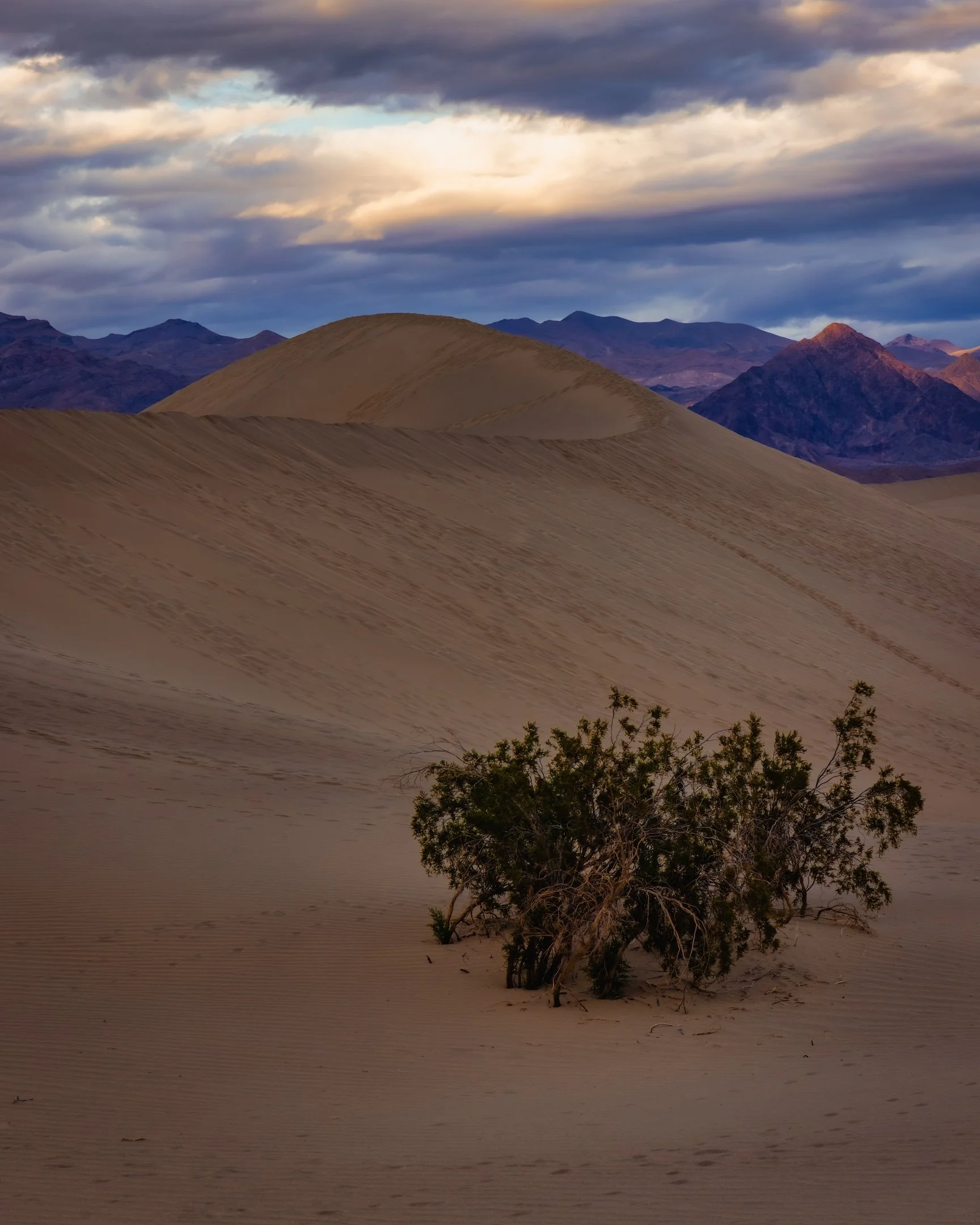 DeathValley2023-40.jpg