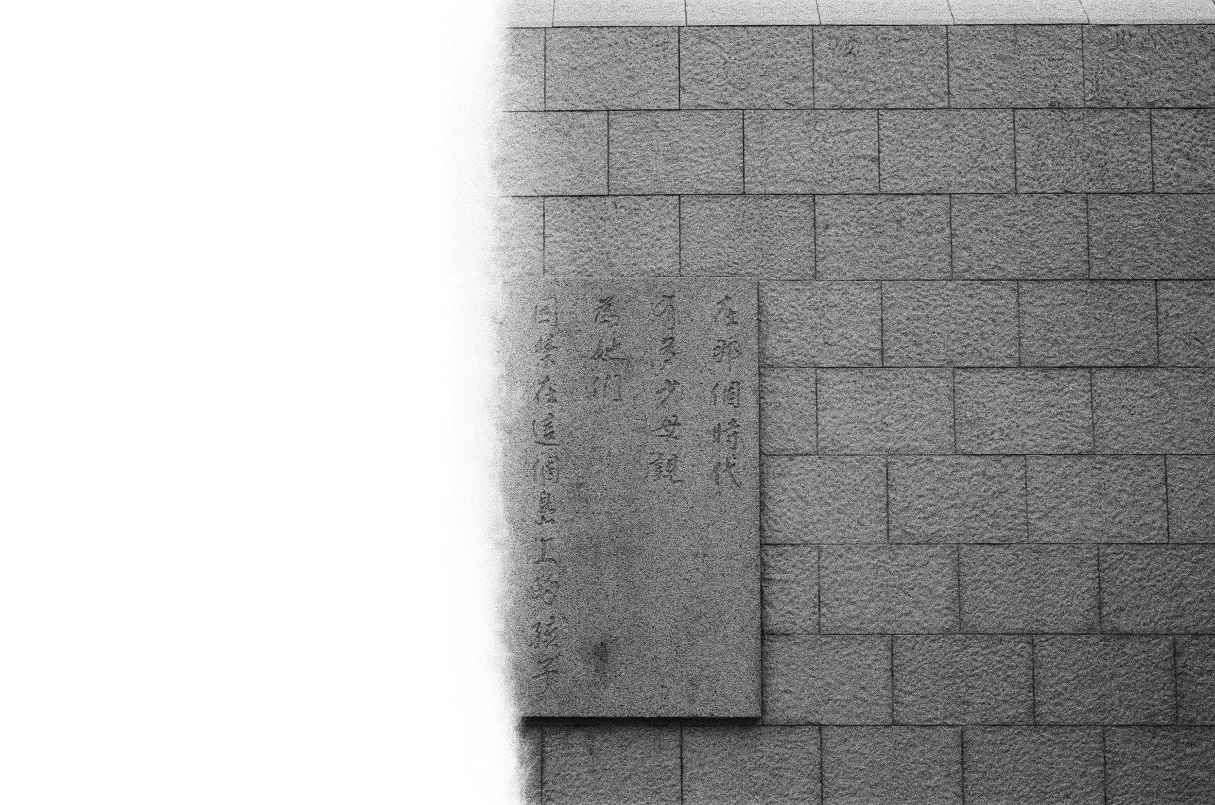 眼淚落地生成花 - 攝影王榆鈞.jpg