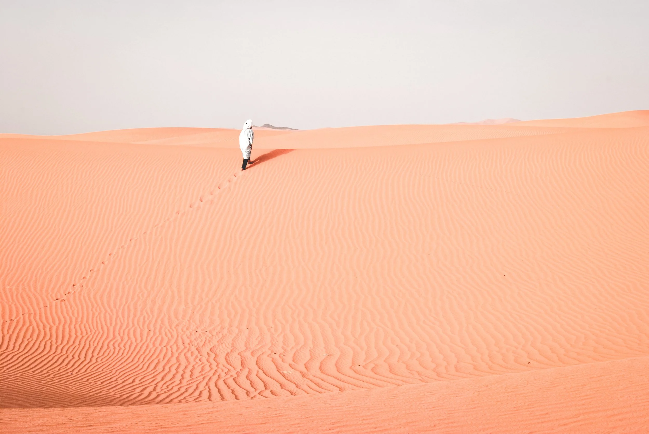 ruben-bagues-227465-unsplash.jpg
