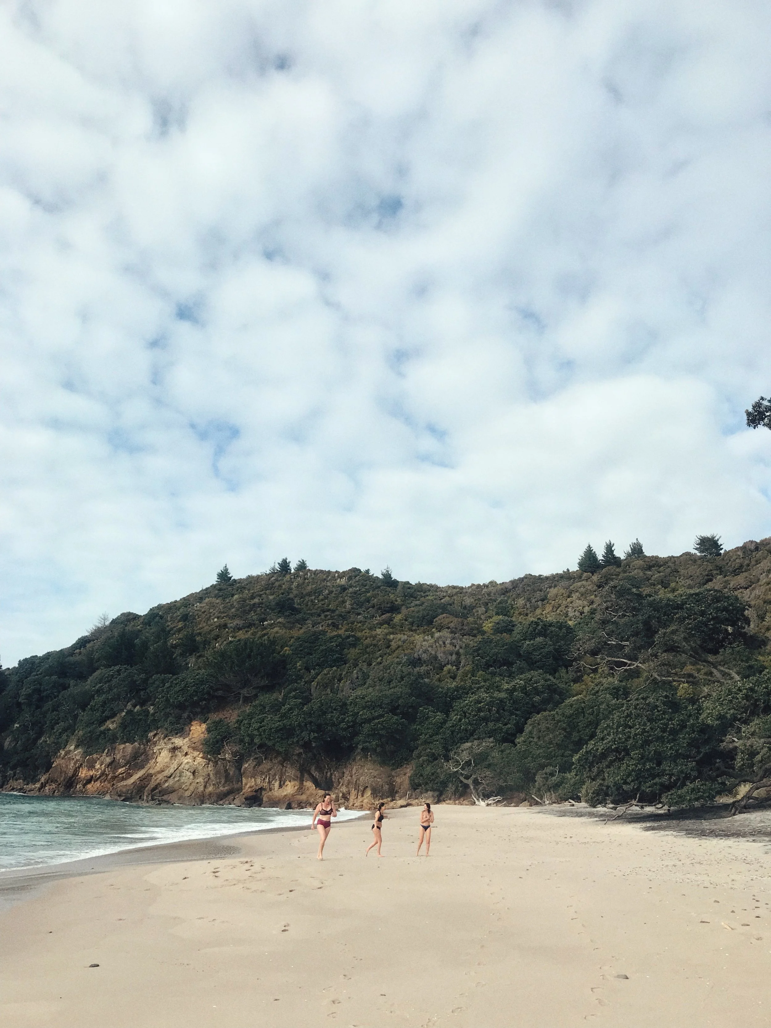 Three of the brave women from last year’s winter retreat stripping down and diving in for an aura cleanse at stunning Orokawa Bay.