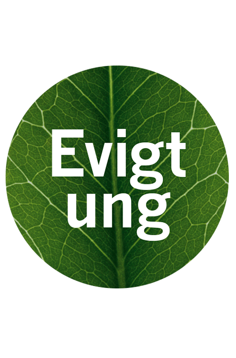 rorstrand_signe_persson-melin_004.gif