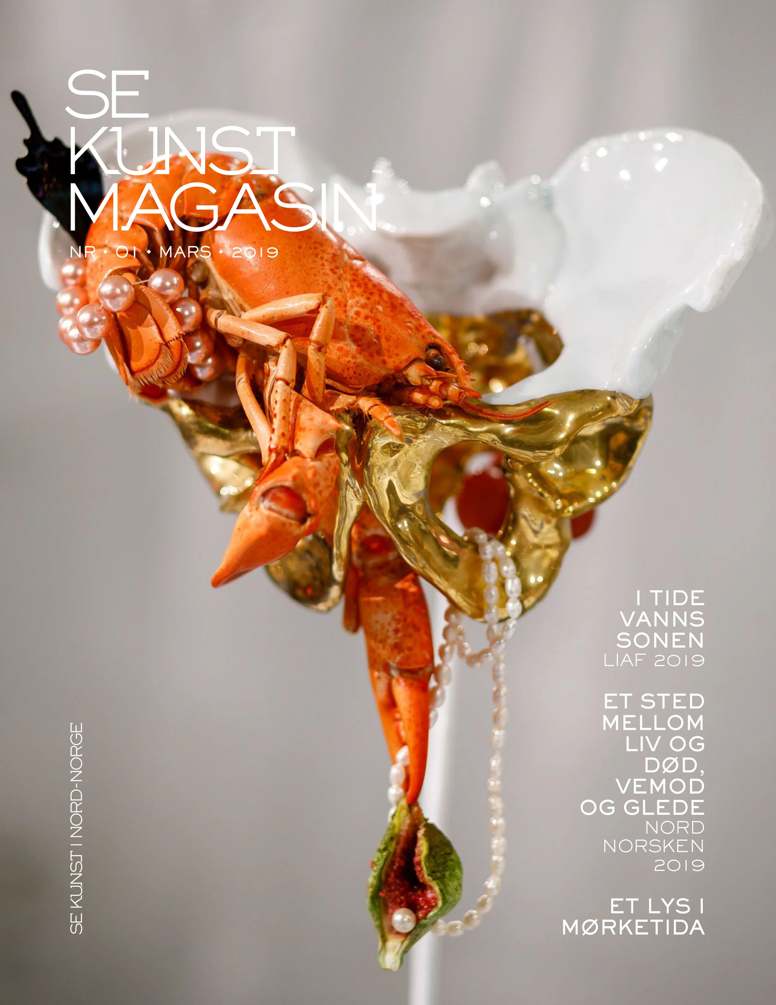 Cover of SeKunstMagasin