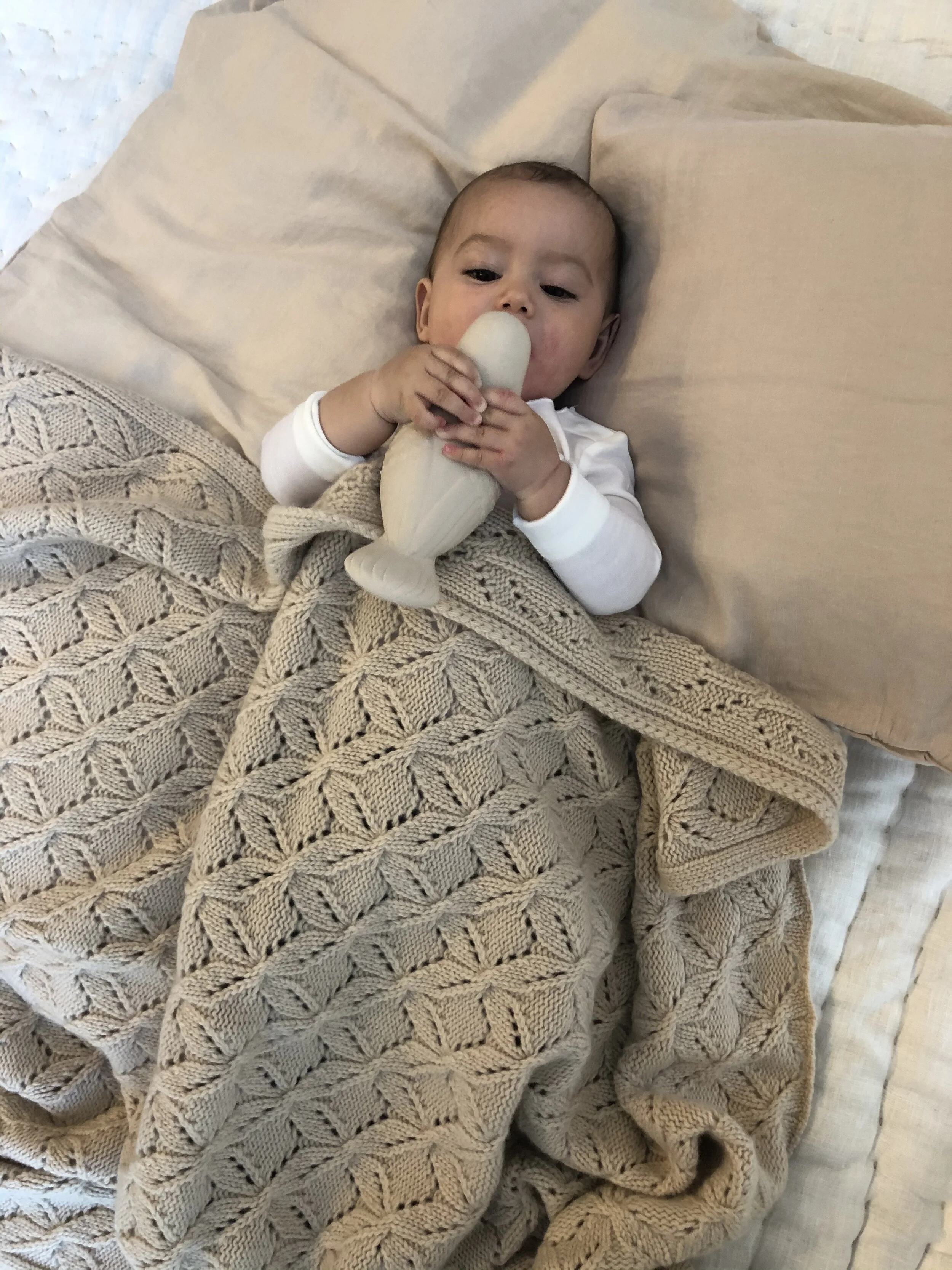 bonet et bonet babynest