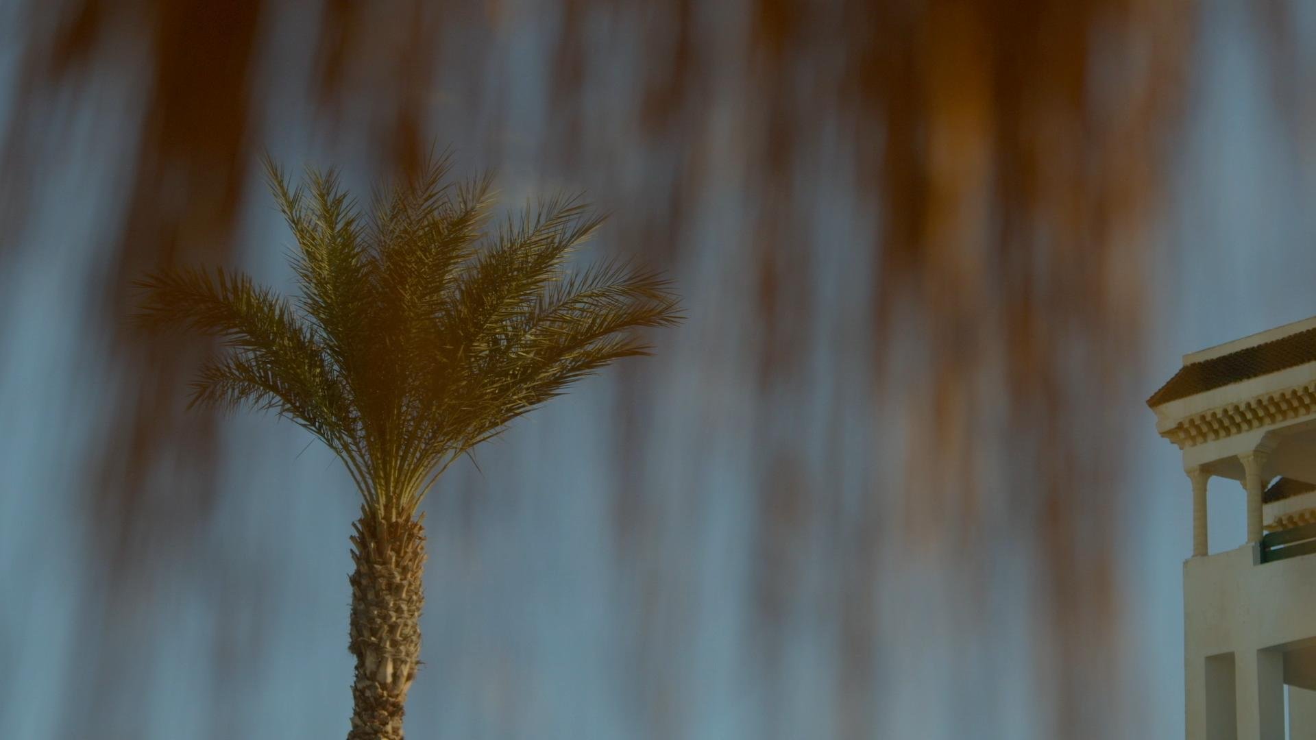 Surviving The Tunisia Beach Attack feature documentary is now live on Amazon Prime UK. #documentary @amazonprime #director #producer This still from the film recreates a 1st person point of view, which I felt was an important visual grammar to establ