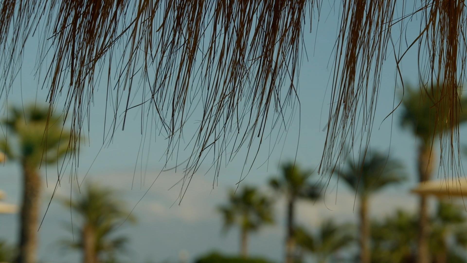 Surviving The Tunisia Beach Attack feature documentary is now live on Amazon Prime UK. Each survivor who took part, showed such inspiring courage and honesty in their contribution to this film, which is a testament to their resilience and post-trauma