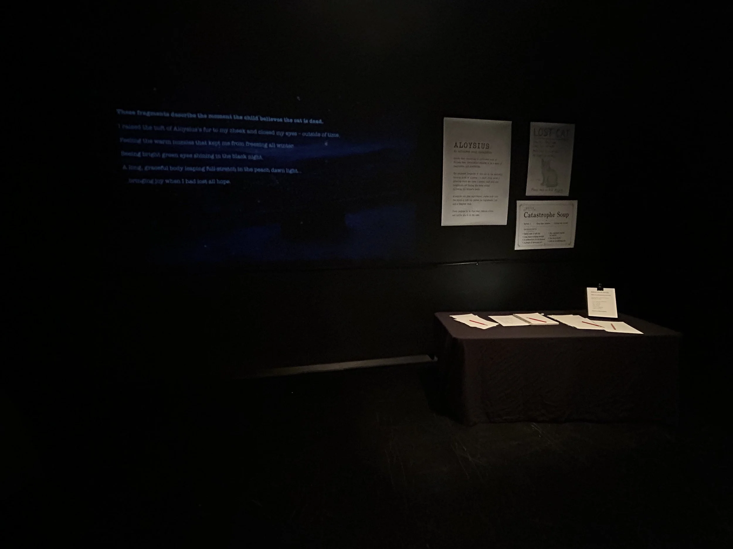 IMG_9852.jpeg