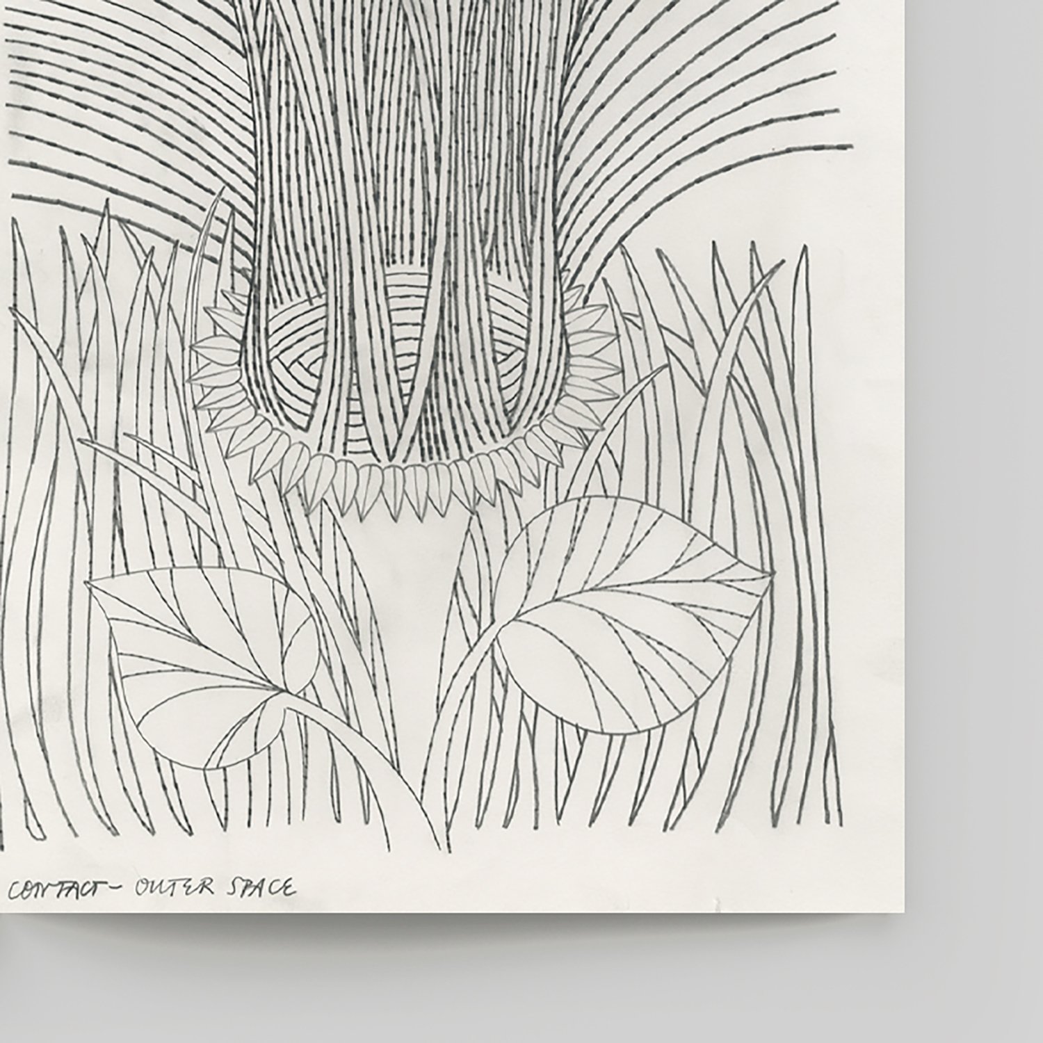 pb_Lissome_Magazine_Issue1_The World We Made_page_6_grey_crop_lr.jpg