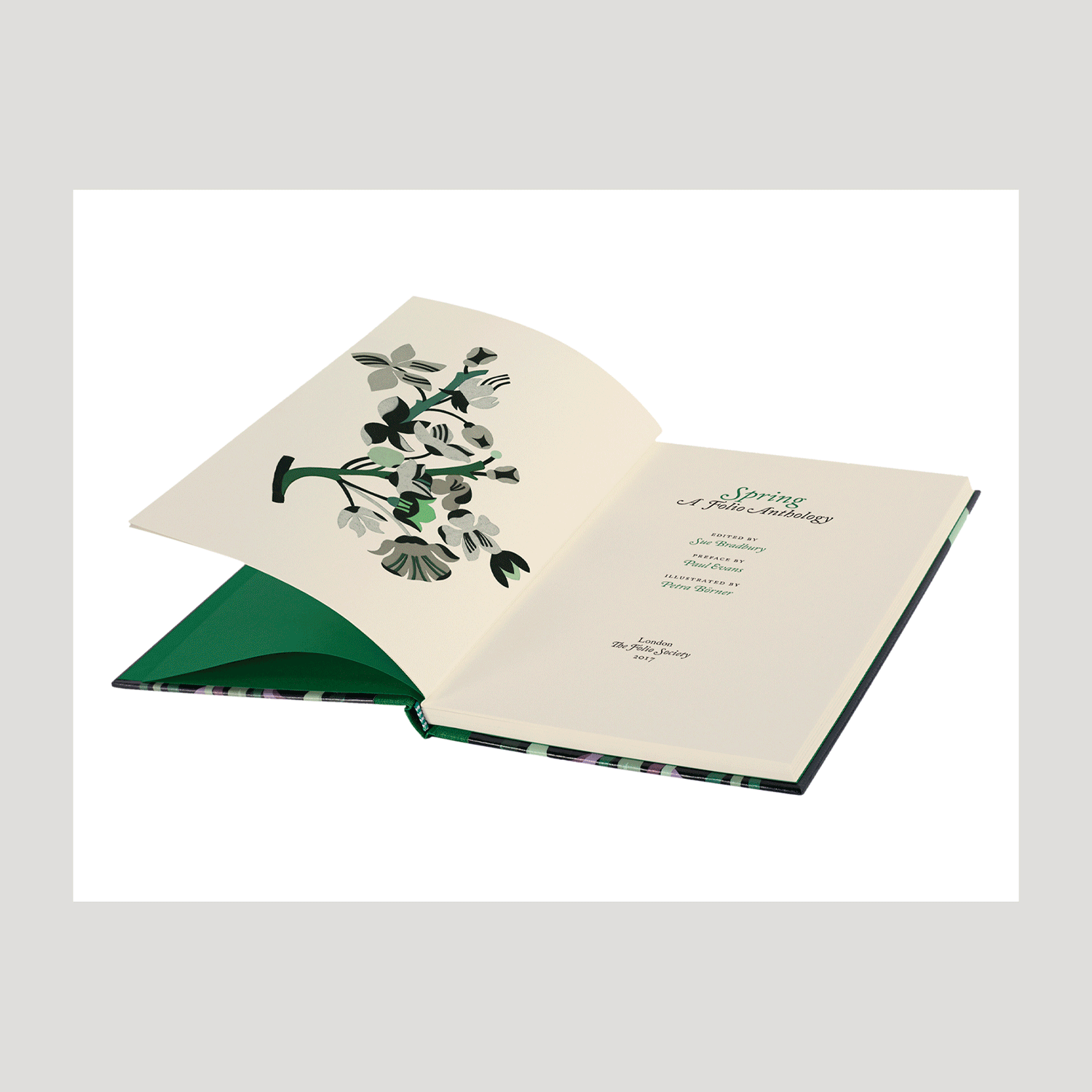 Cover art & spot illustrations