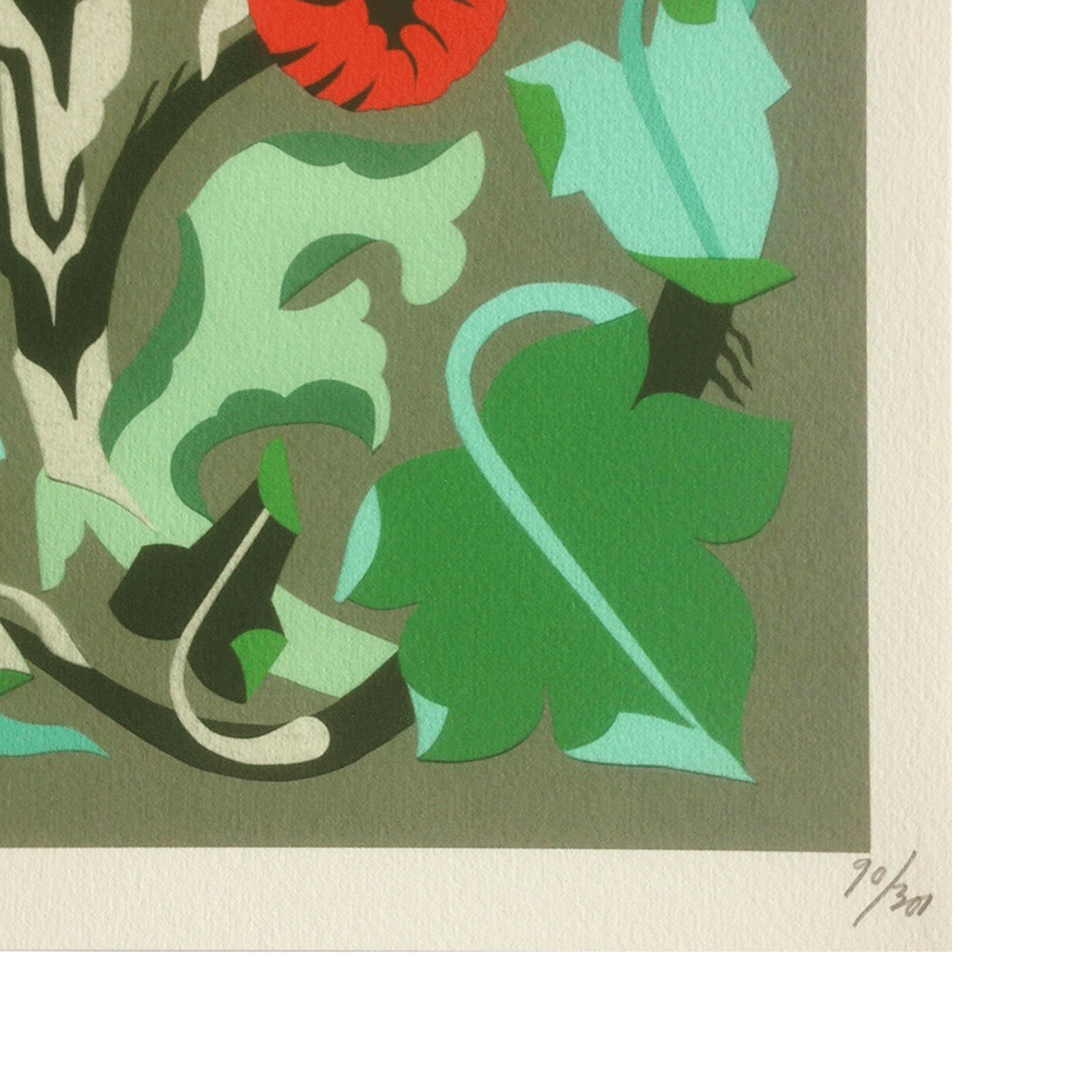 Red Myrtle Edition (Detail)