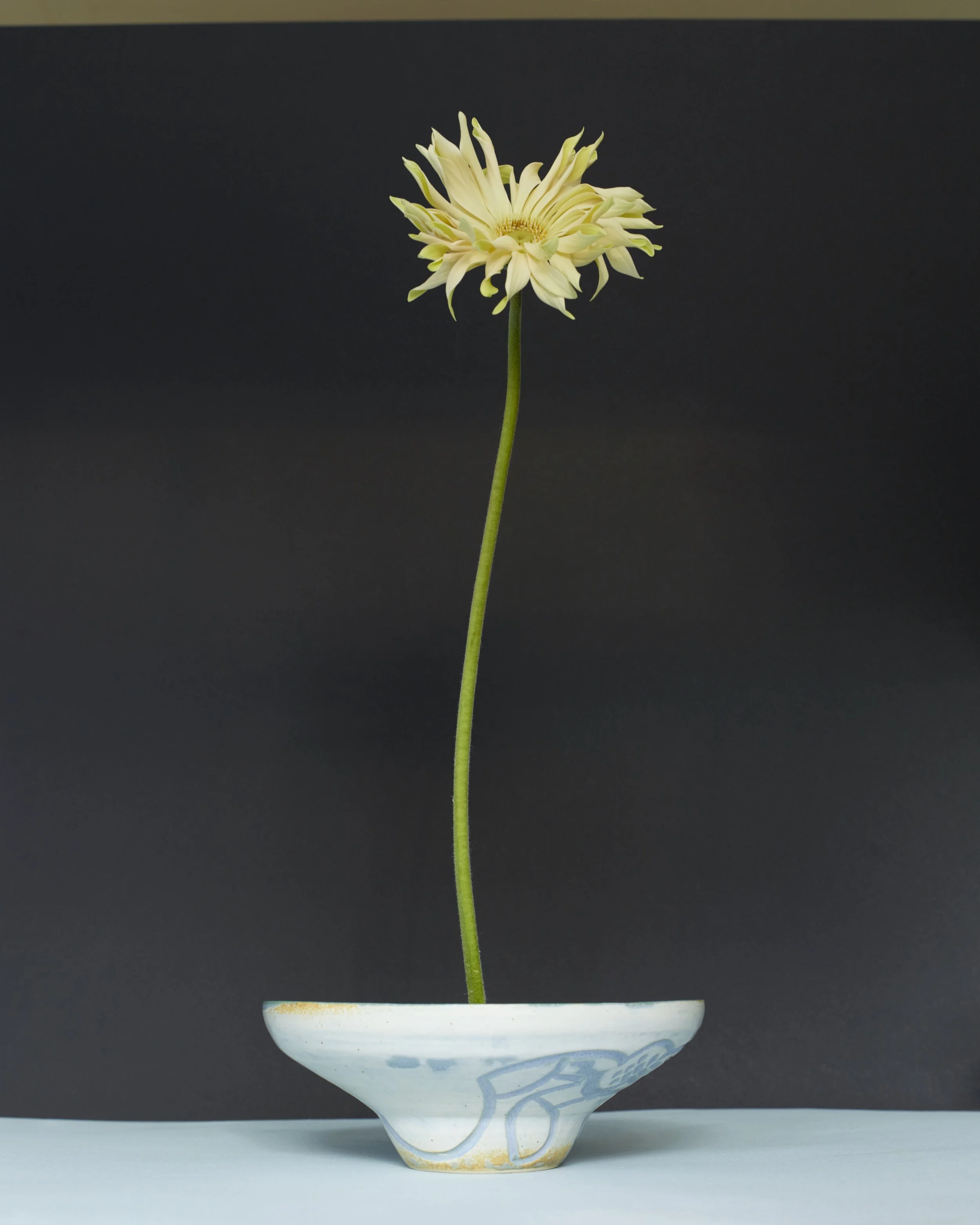 Rainbowface disquebowl bluegreen 2 