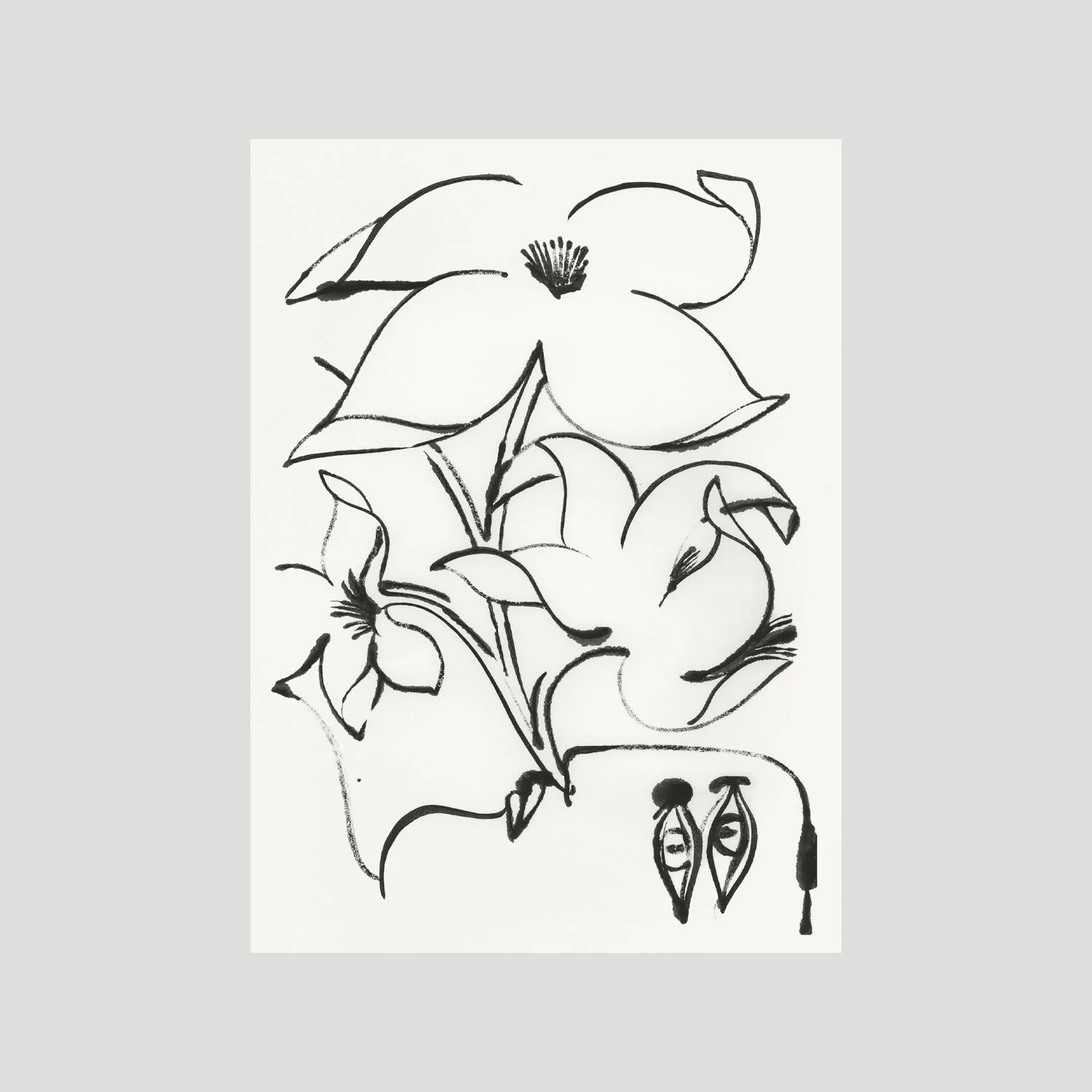 Floralface 453b - Ink on paper