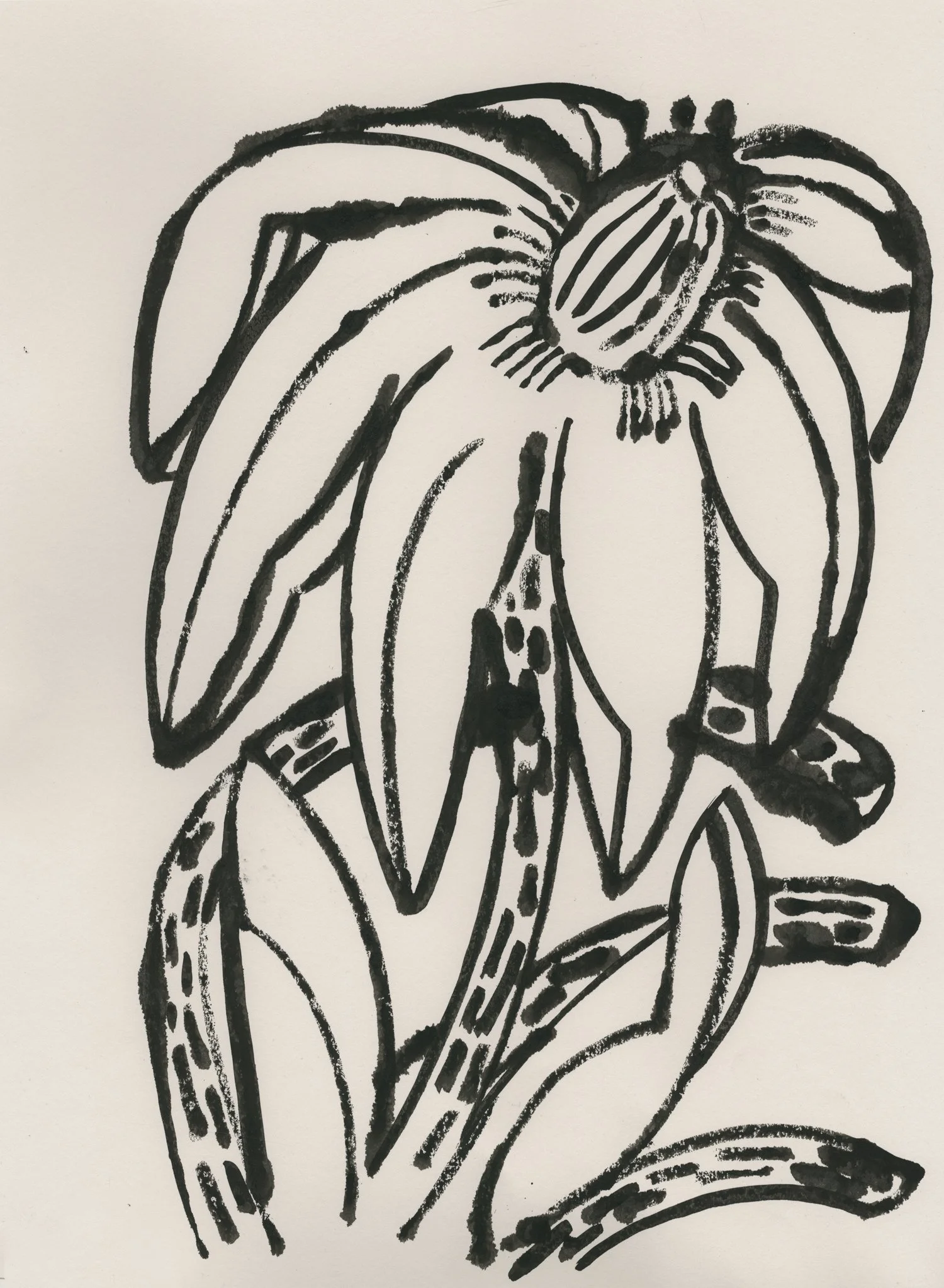 Scan 805a