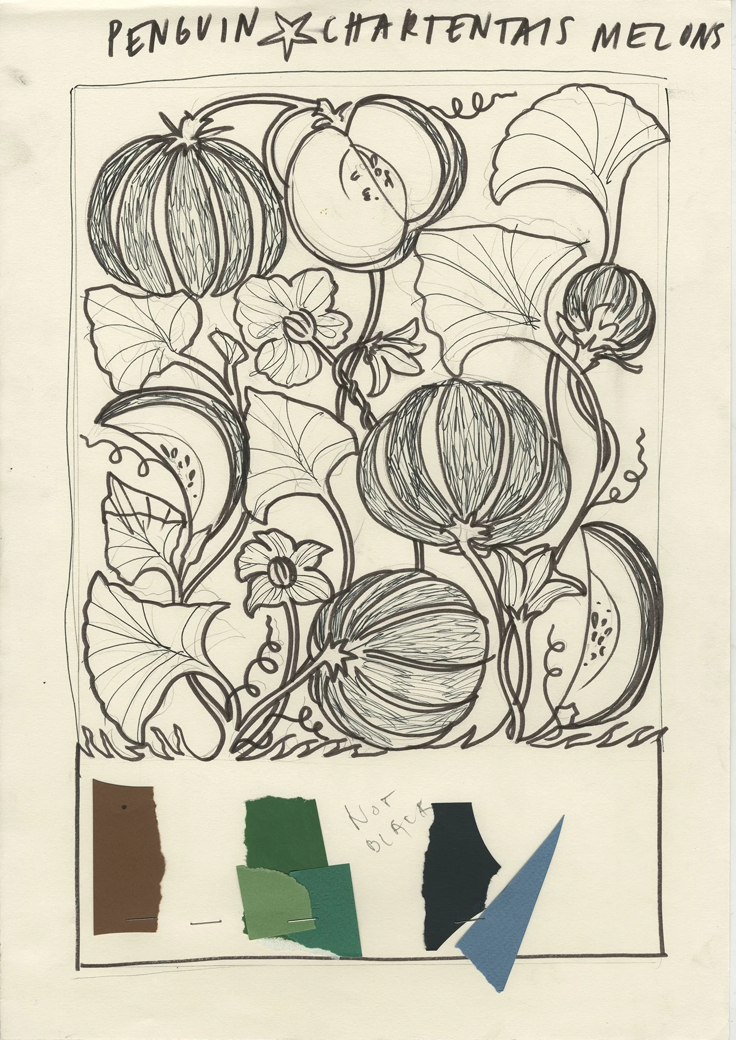 Melons - Penguin Books