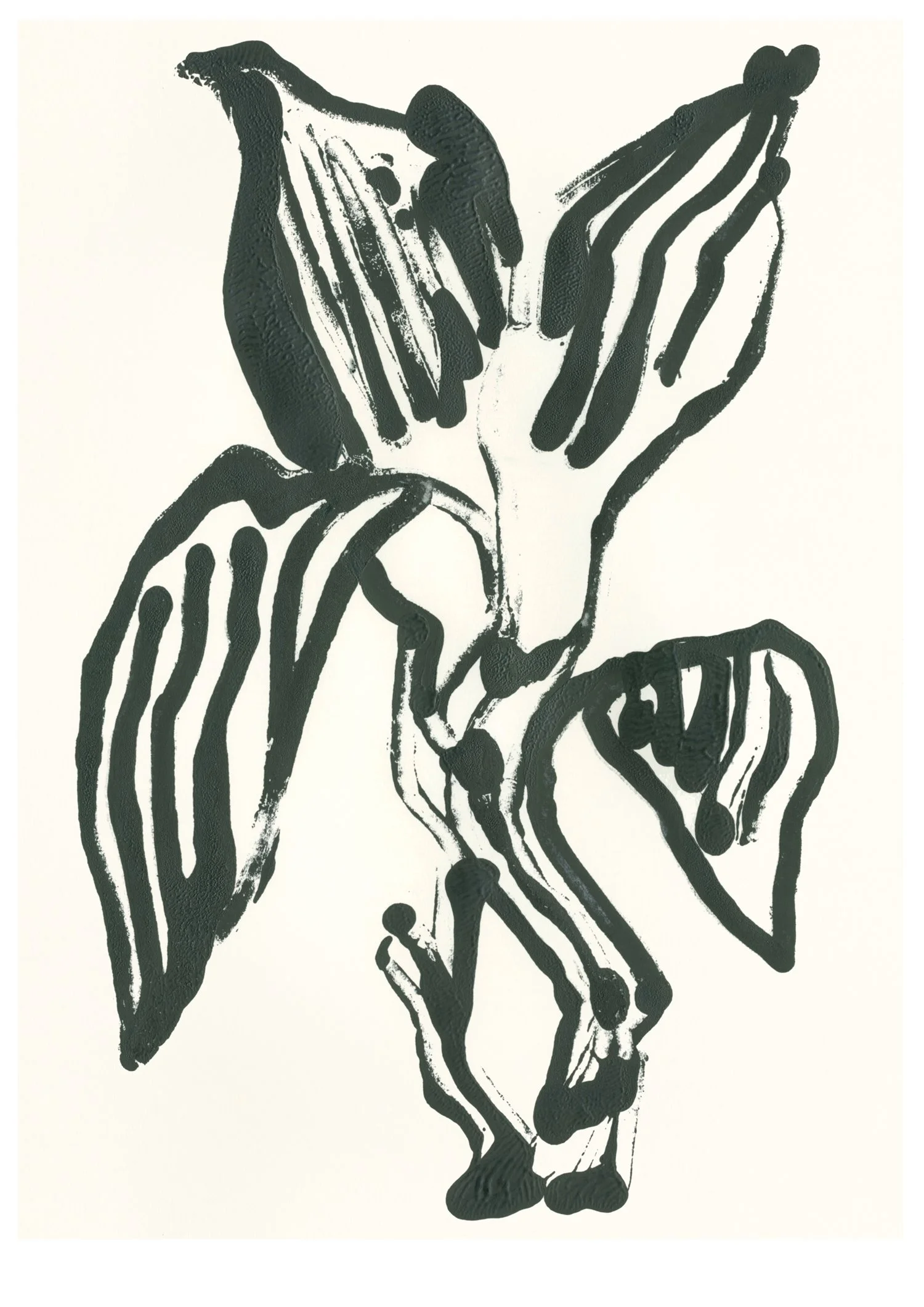 pb_aspidistra_2013_lr.jpg