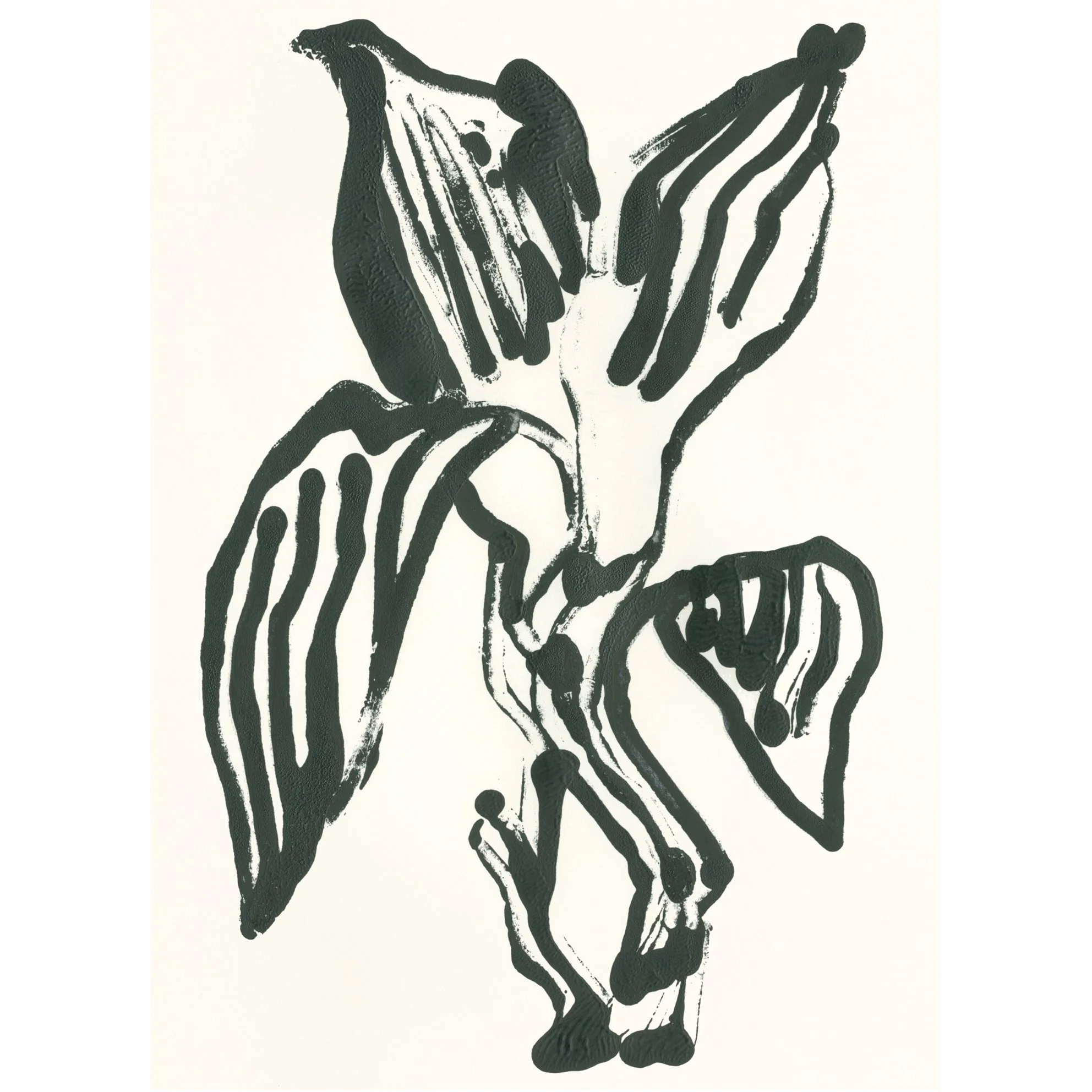 pb_aspidistra_2013_lrb.jpg