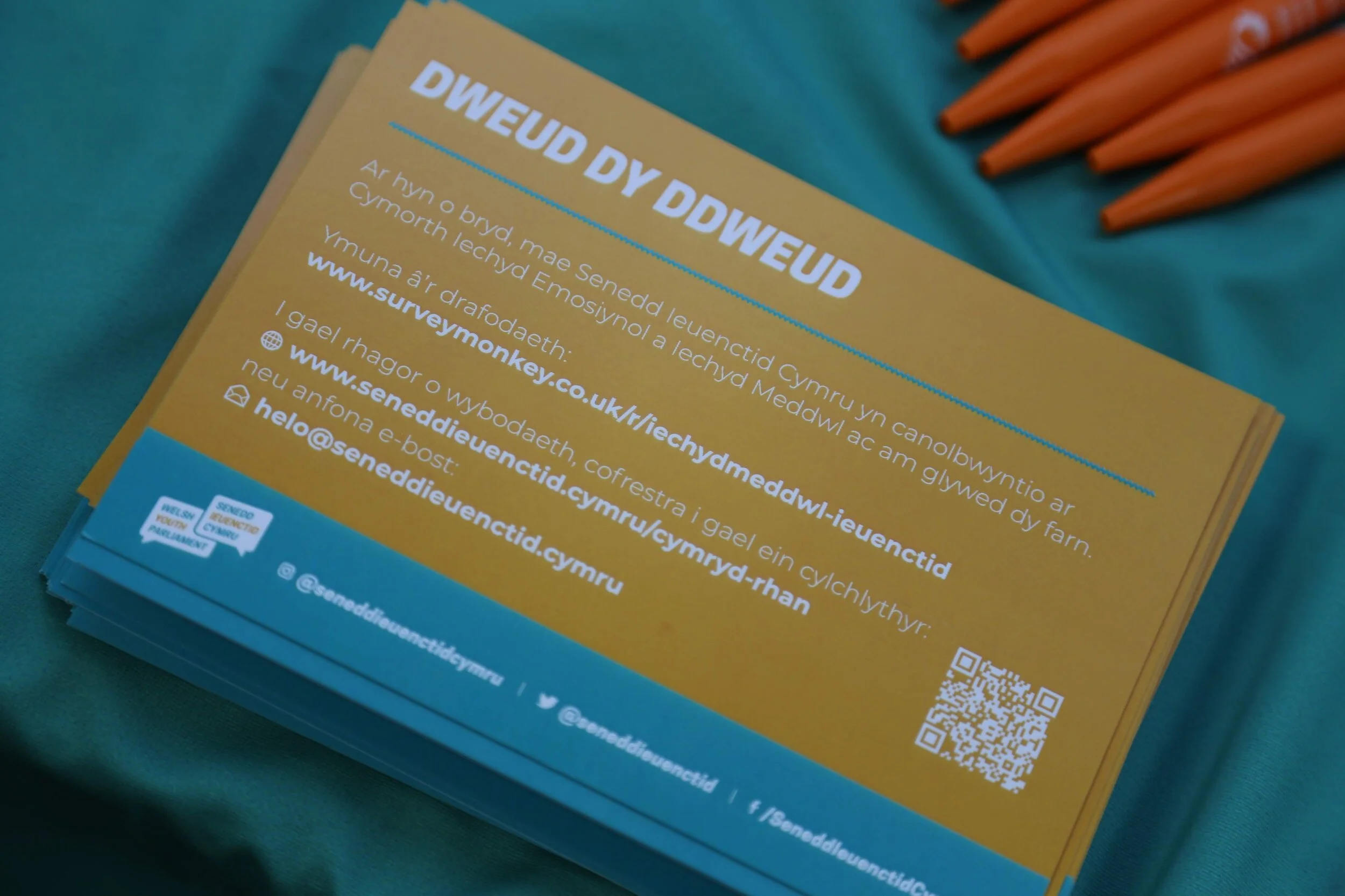 Gwybodaeth i gymryd rhan yn holiadur y Pwyllgor