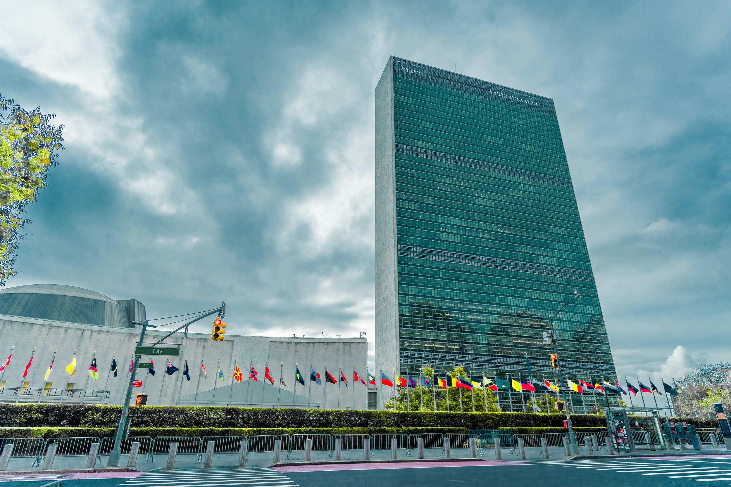 What Binds Countries Together on AI, and What Divides Them