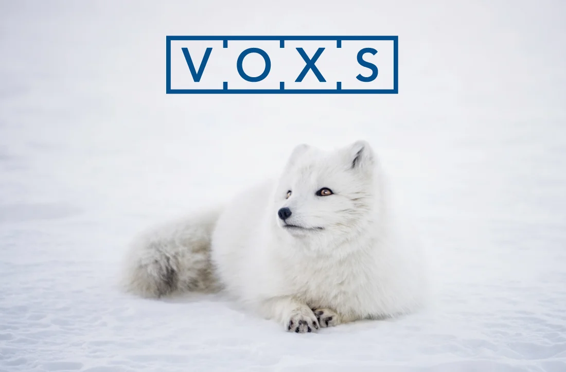 voxsie.jpg
