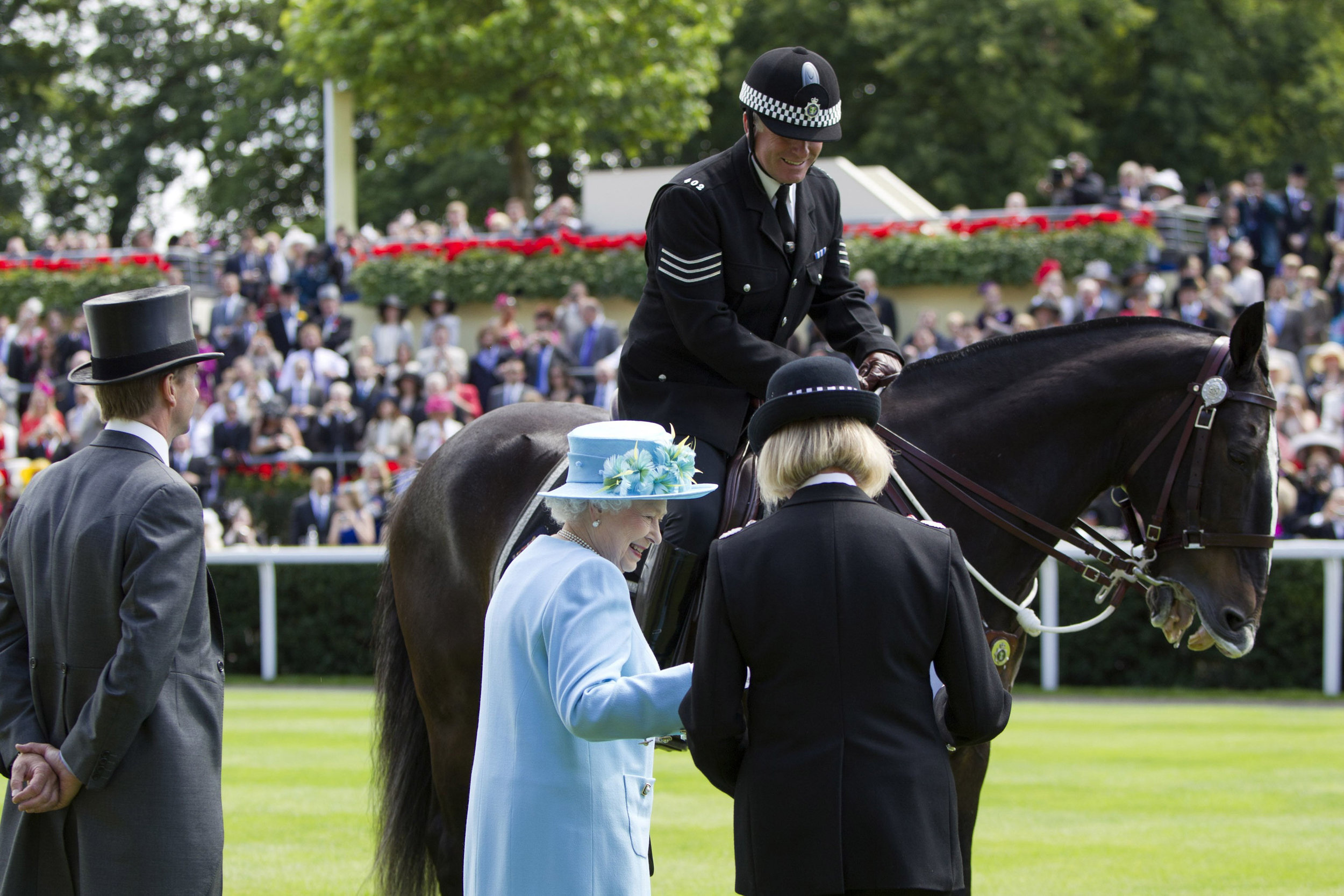 Clyde, Longest Serving Thames Valley Police Horse, now enjoying retirement at The Horse Trust, receiving a long service honour from HRH Queen Elizabeth II in 2011