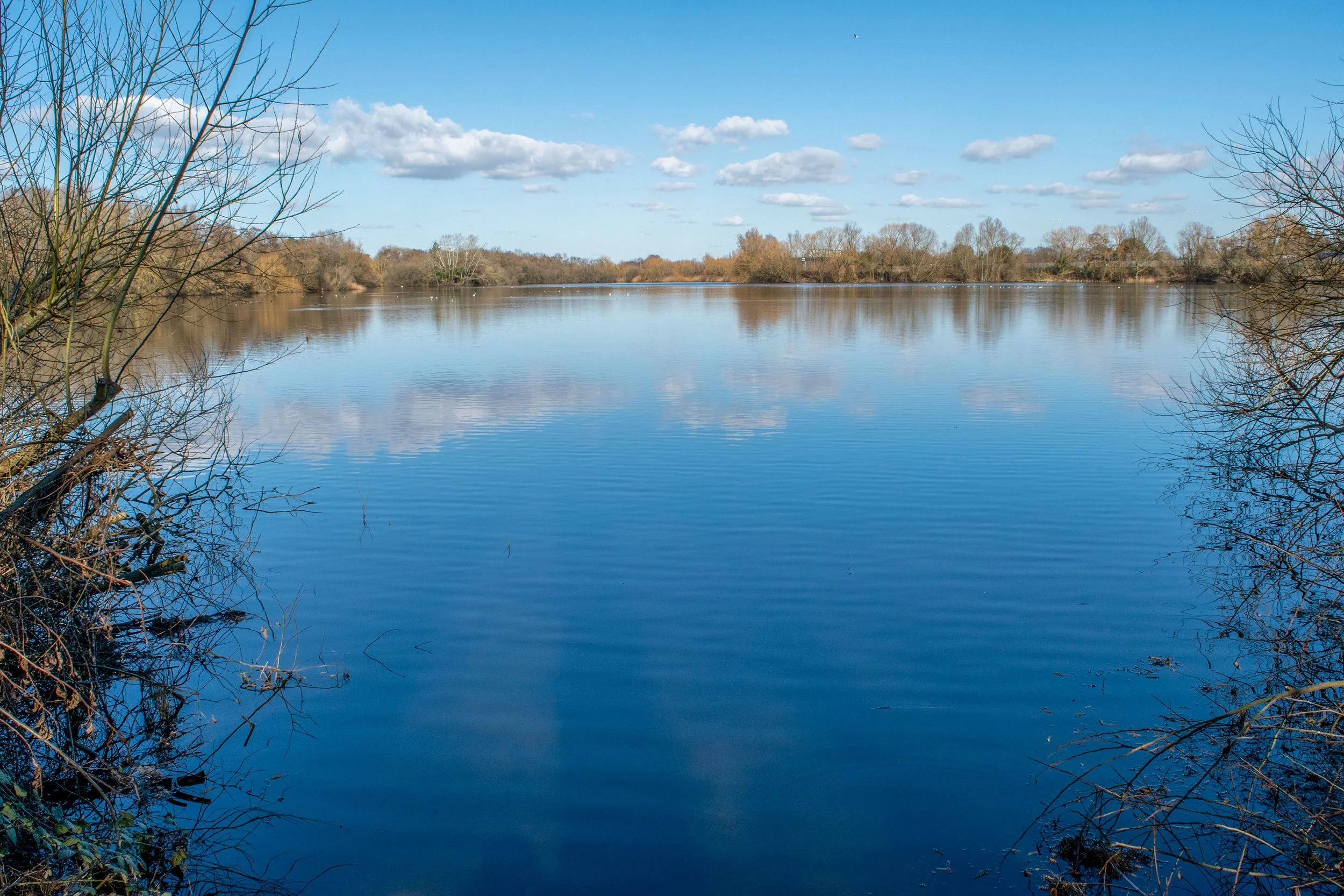 The lake