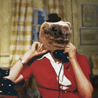 TurtleChat.gif
