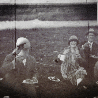 SwanPicnic.gif