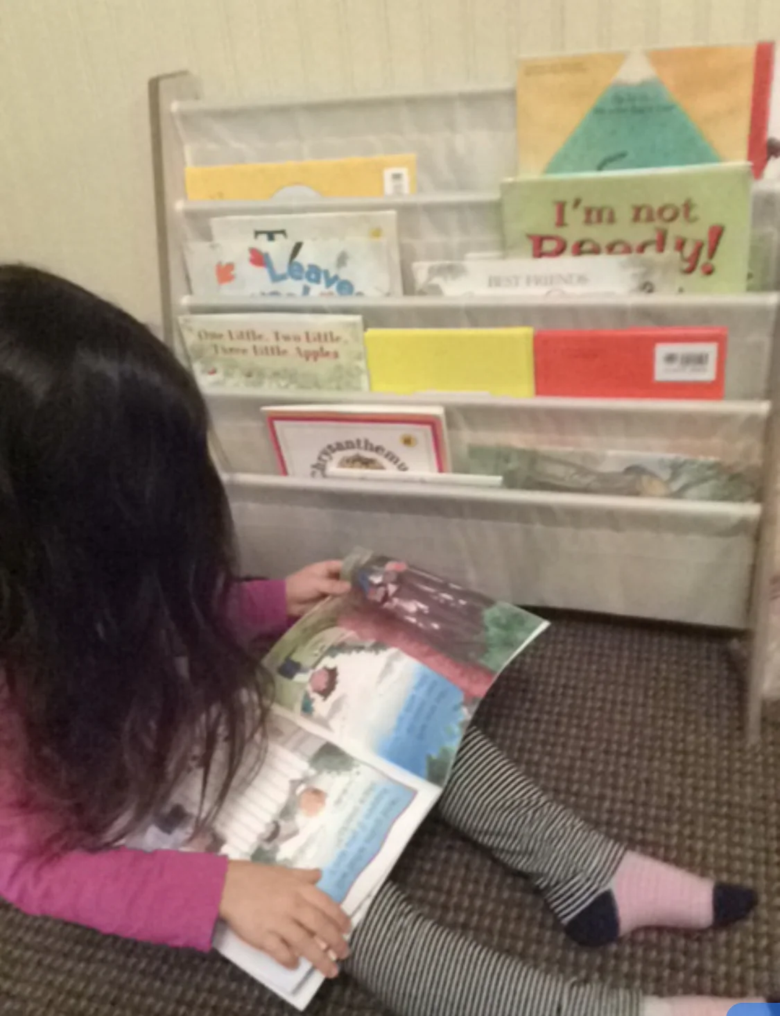 Every Waldorf Early Childhood teacher is Waldorf-trained in the development of young children and strives to put the sanctity of childhood before all else.