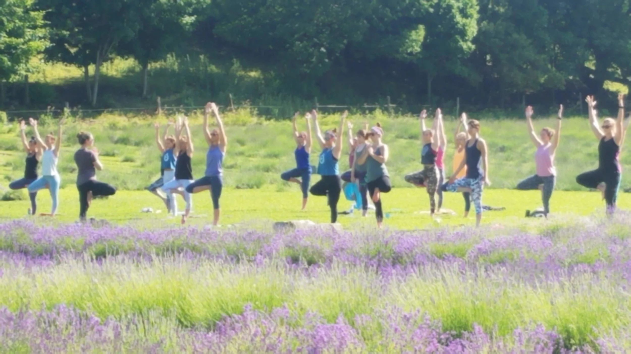 yogainfield.jpg