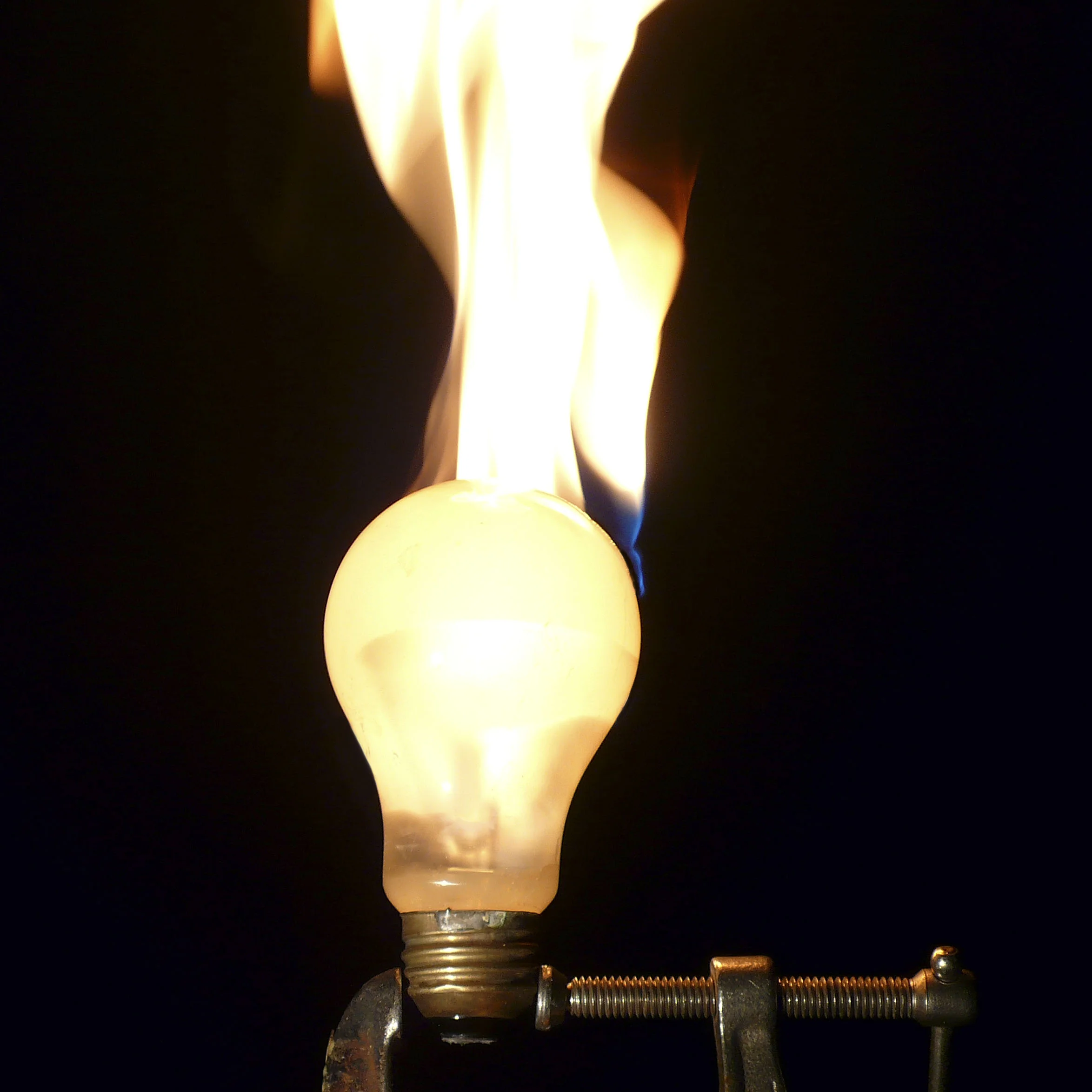 light bulb w-c clamp.jpg