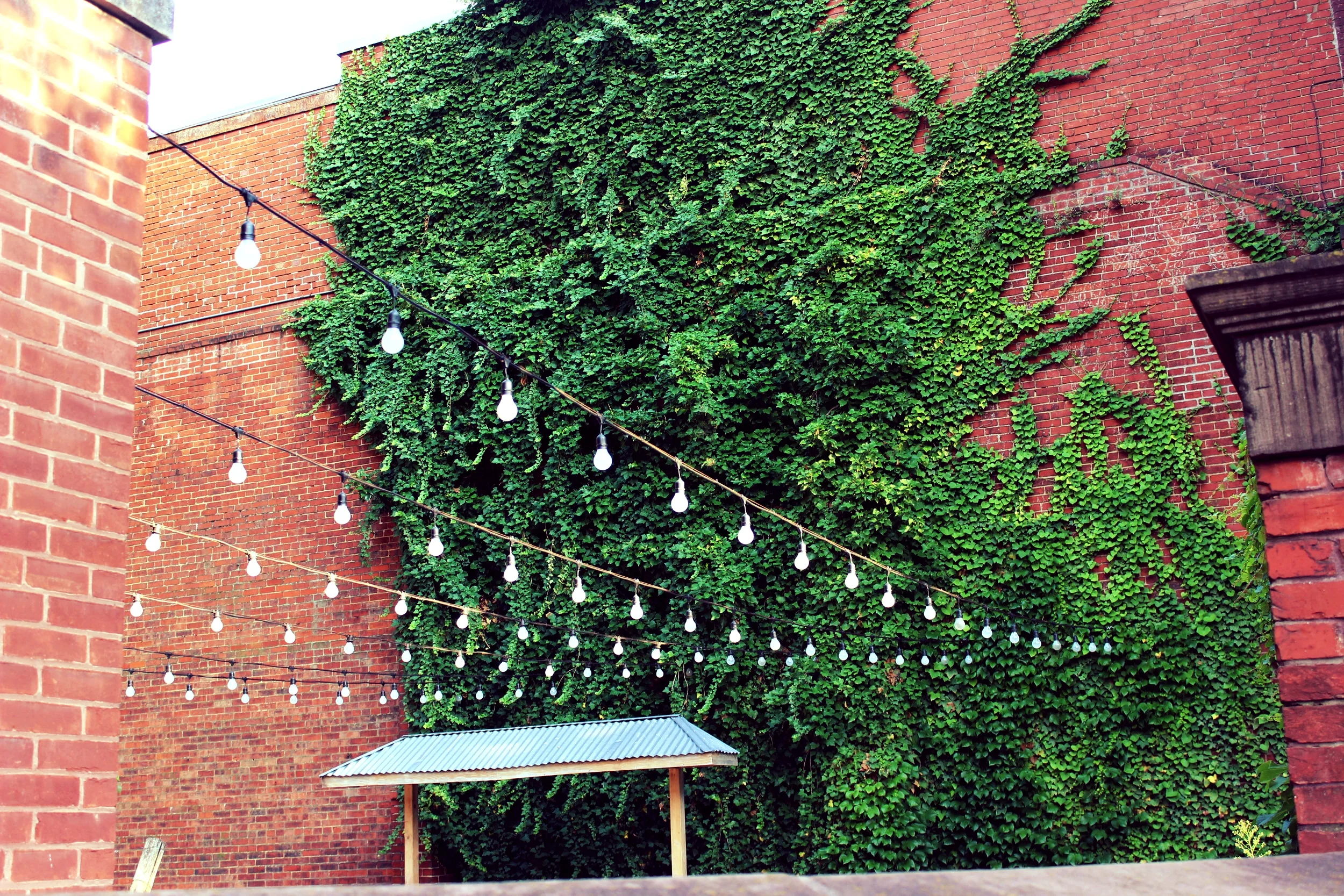 Partner Spotlight: Downtown Frederick Partnership